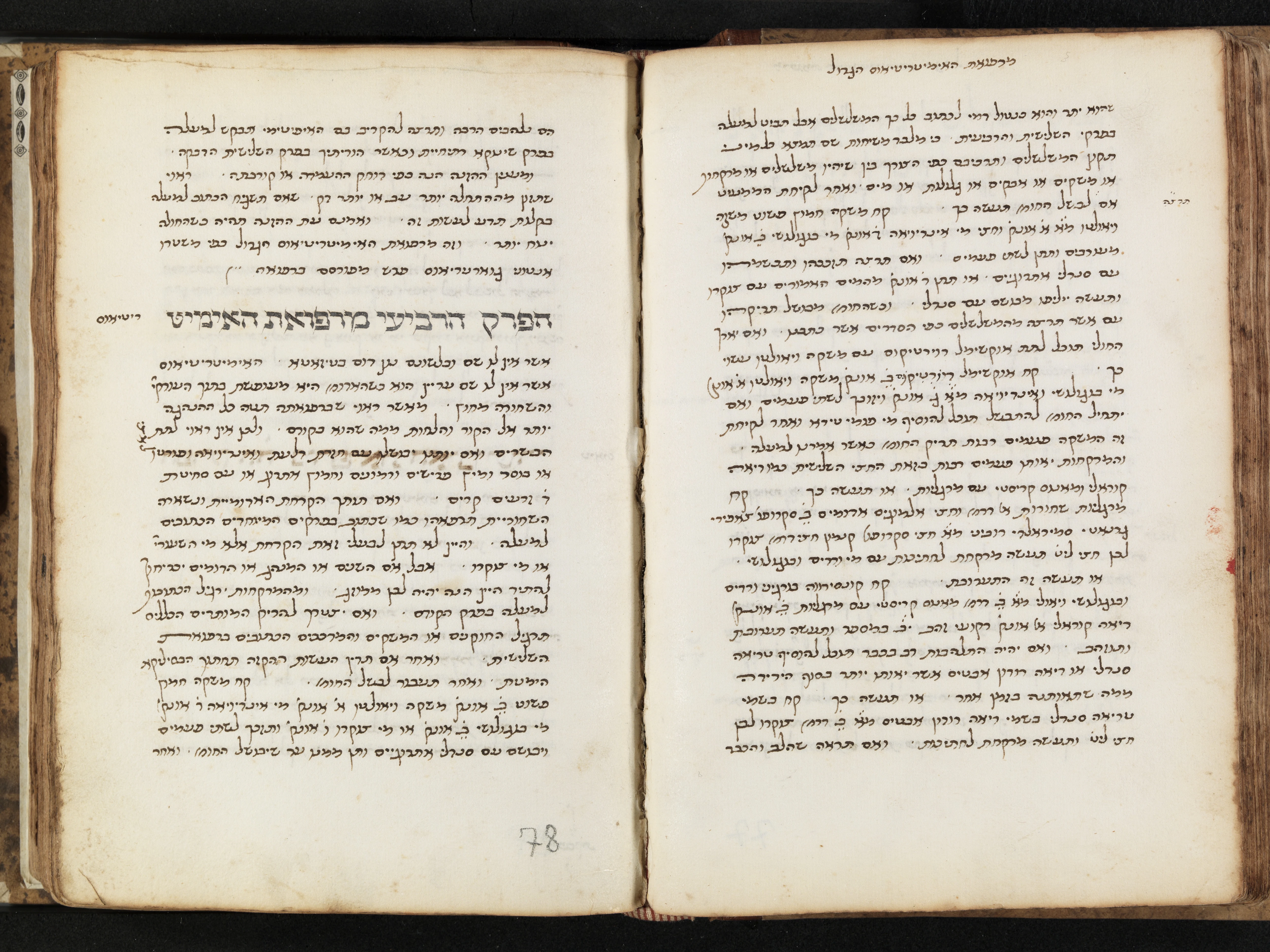Image of item, e.g. a manuscript page