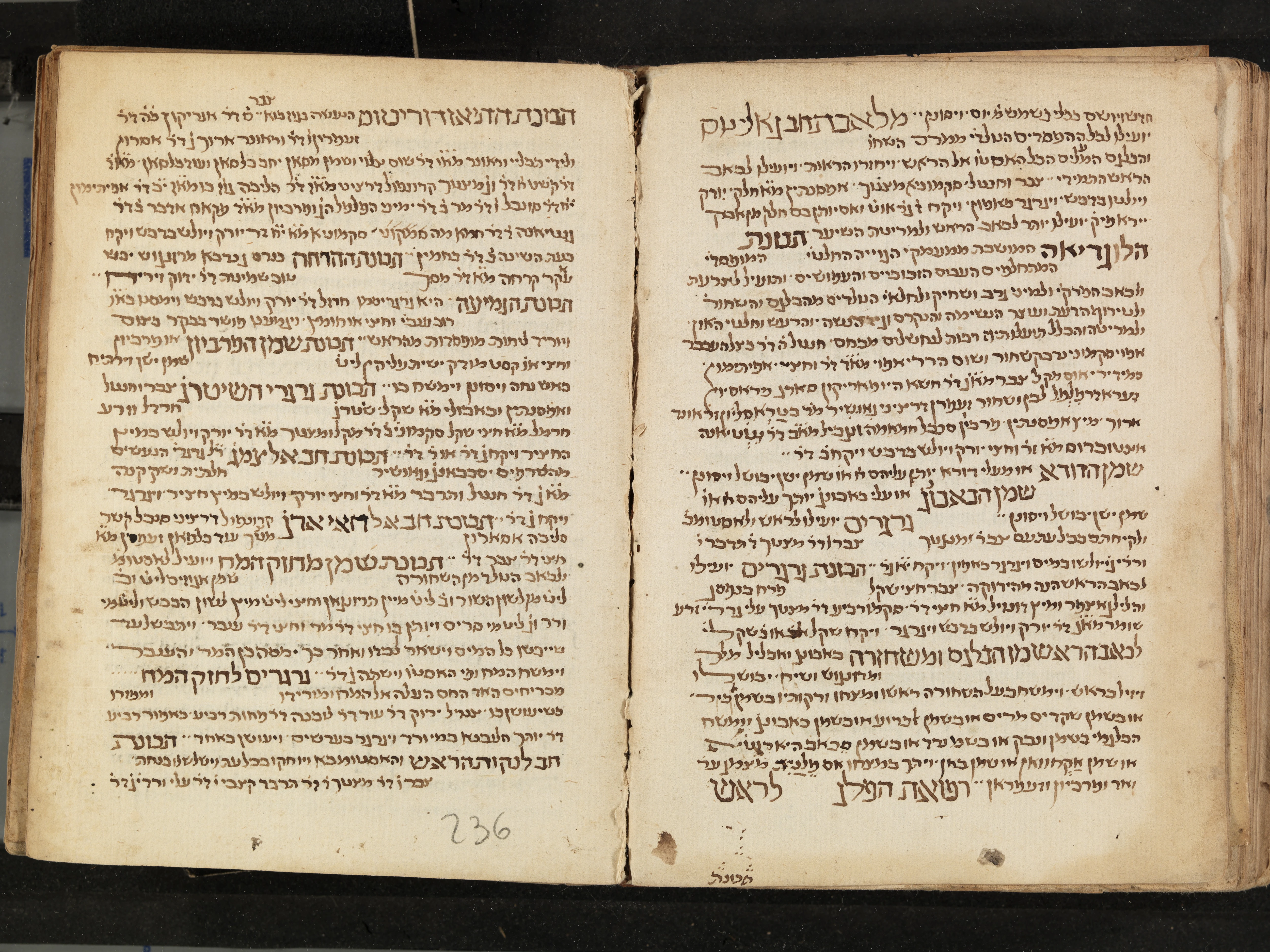 Image of item, e.g. a manuscript page