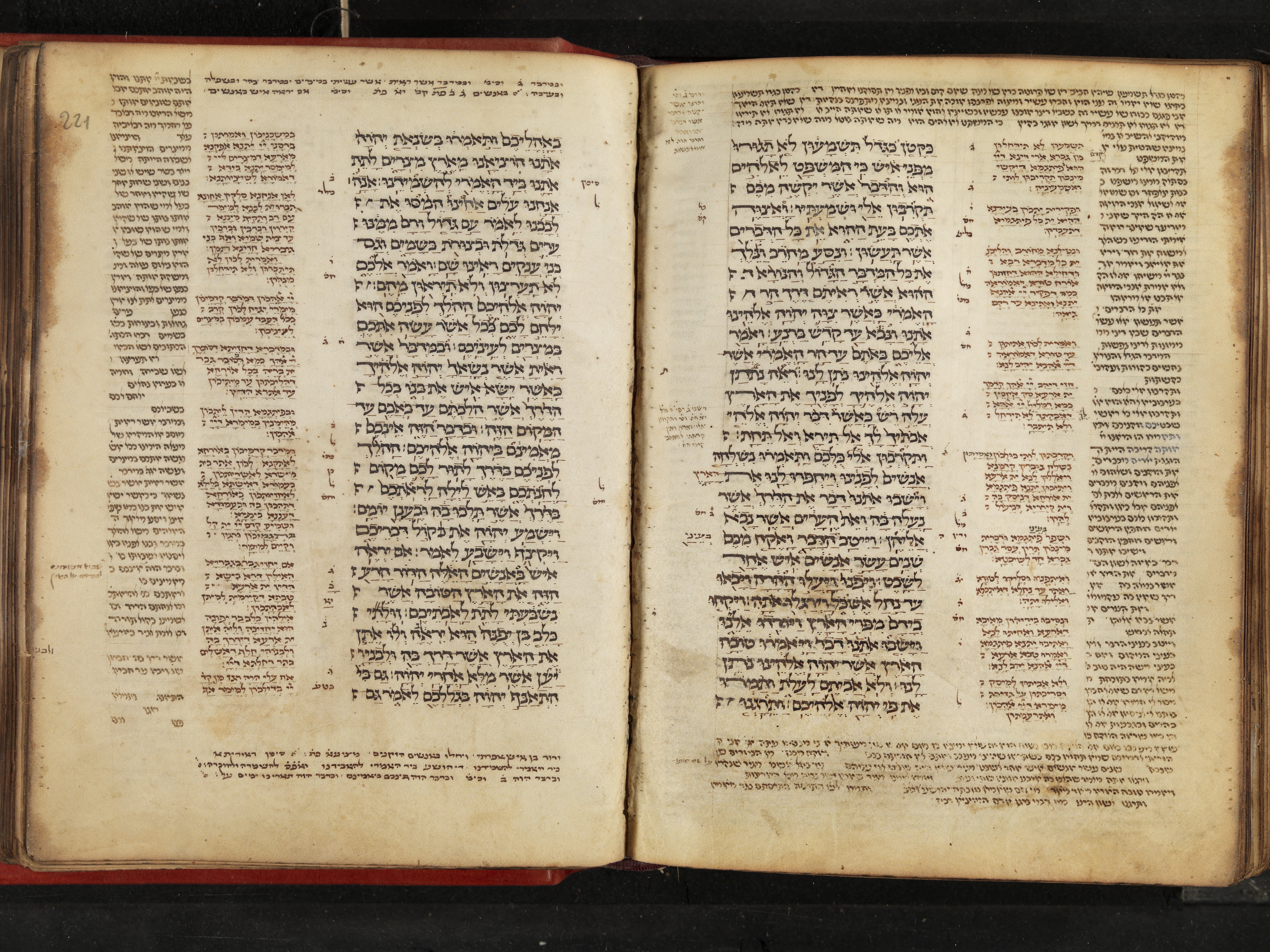 Image of item, e.g. a manuscript page