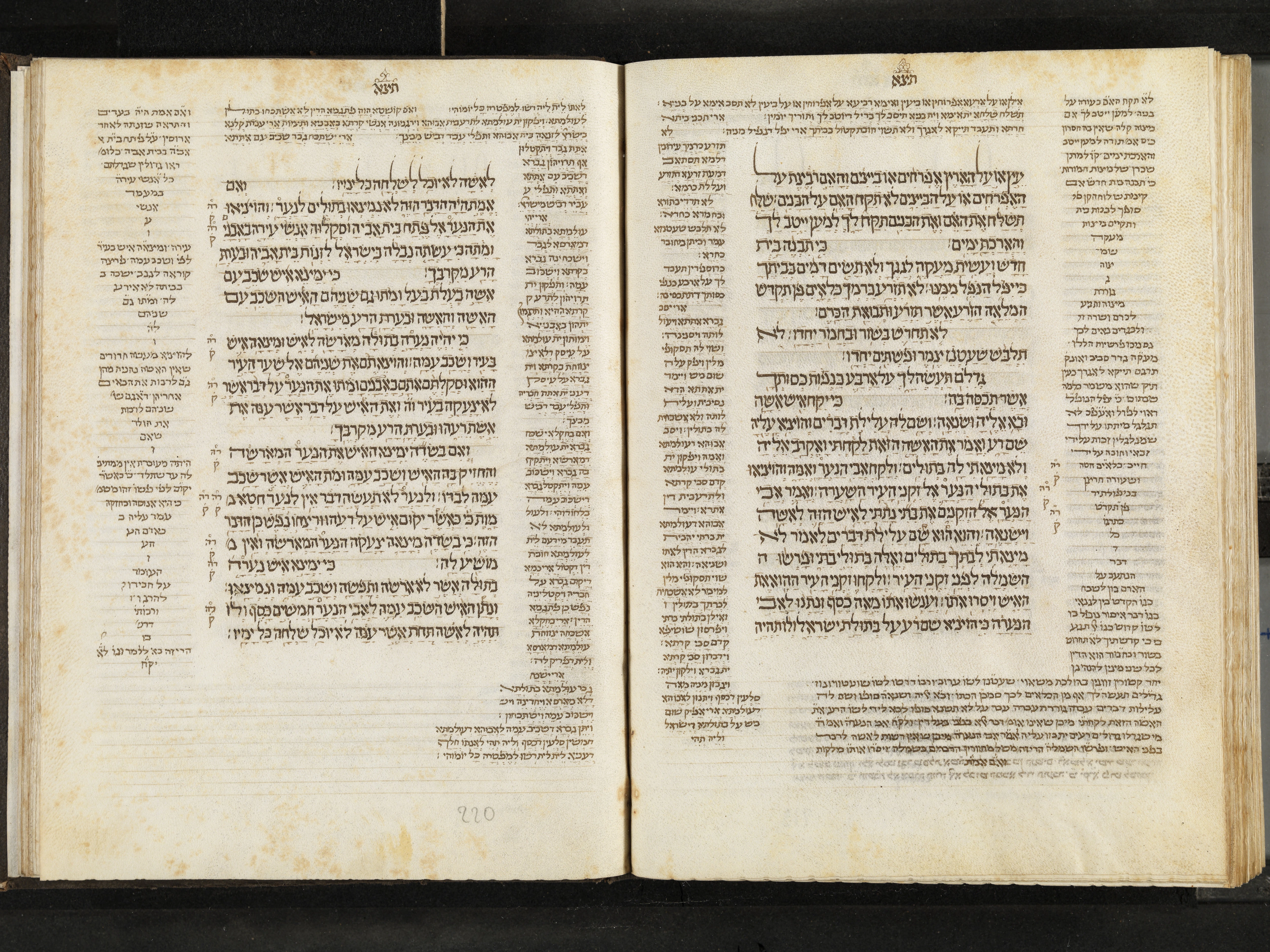 Image of item, e.g. a manuscript page