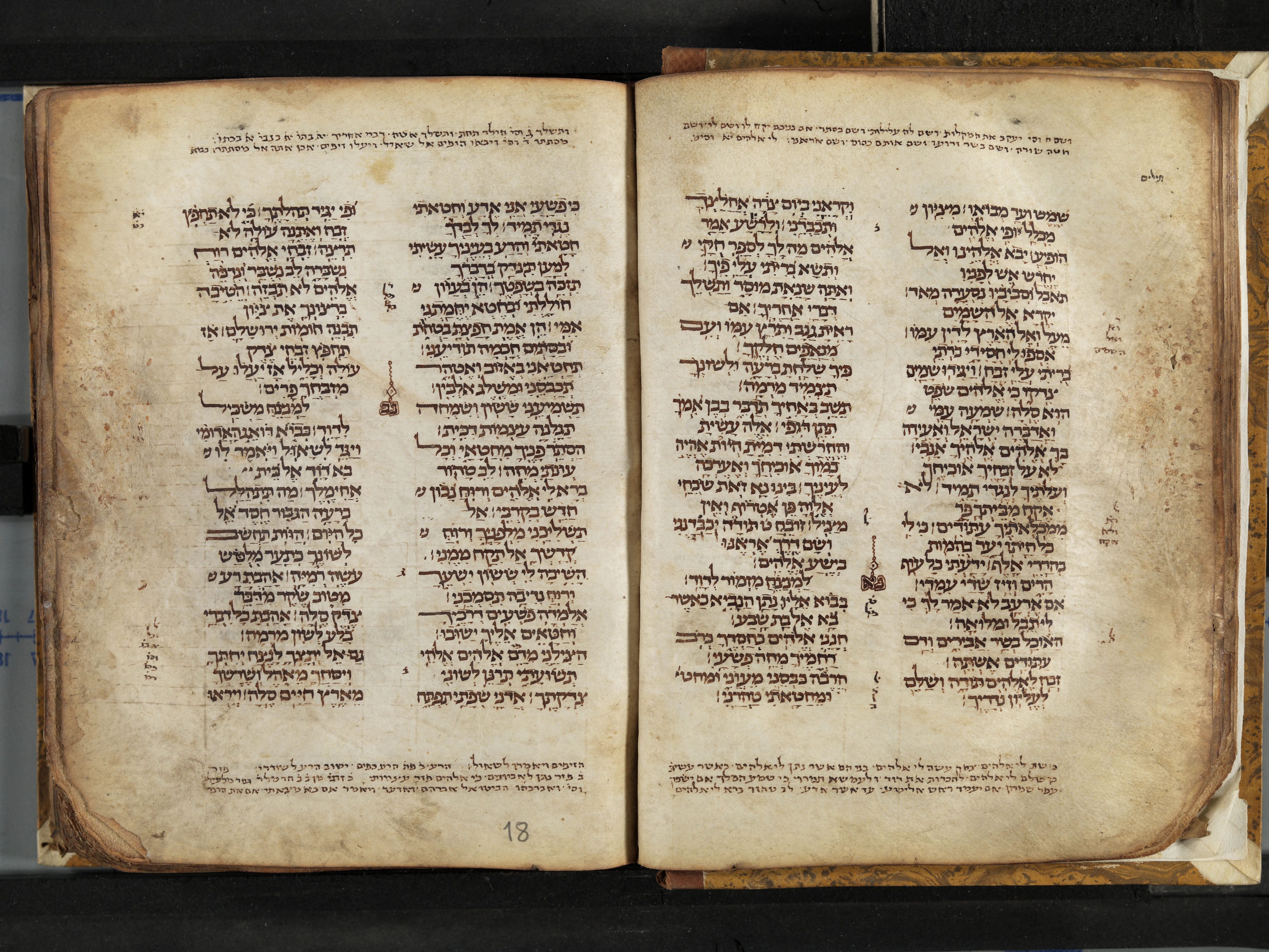 Image of item, e.g. a manuscript page