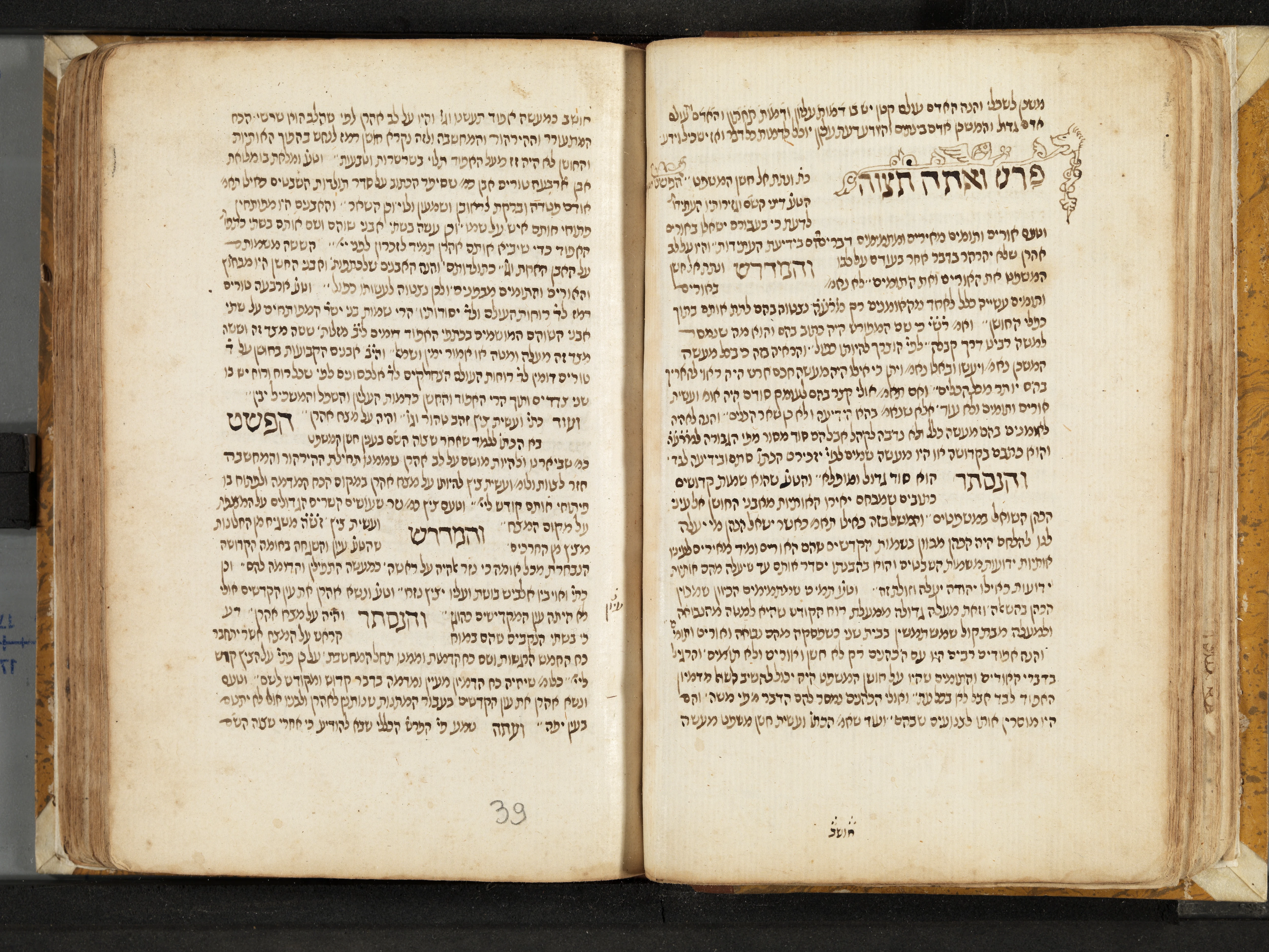 Image of item, e.g. a manuscript page