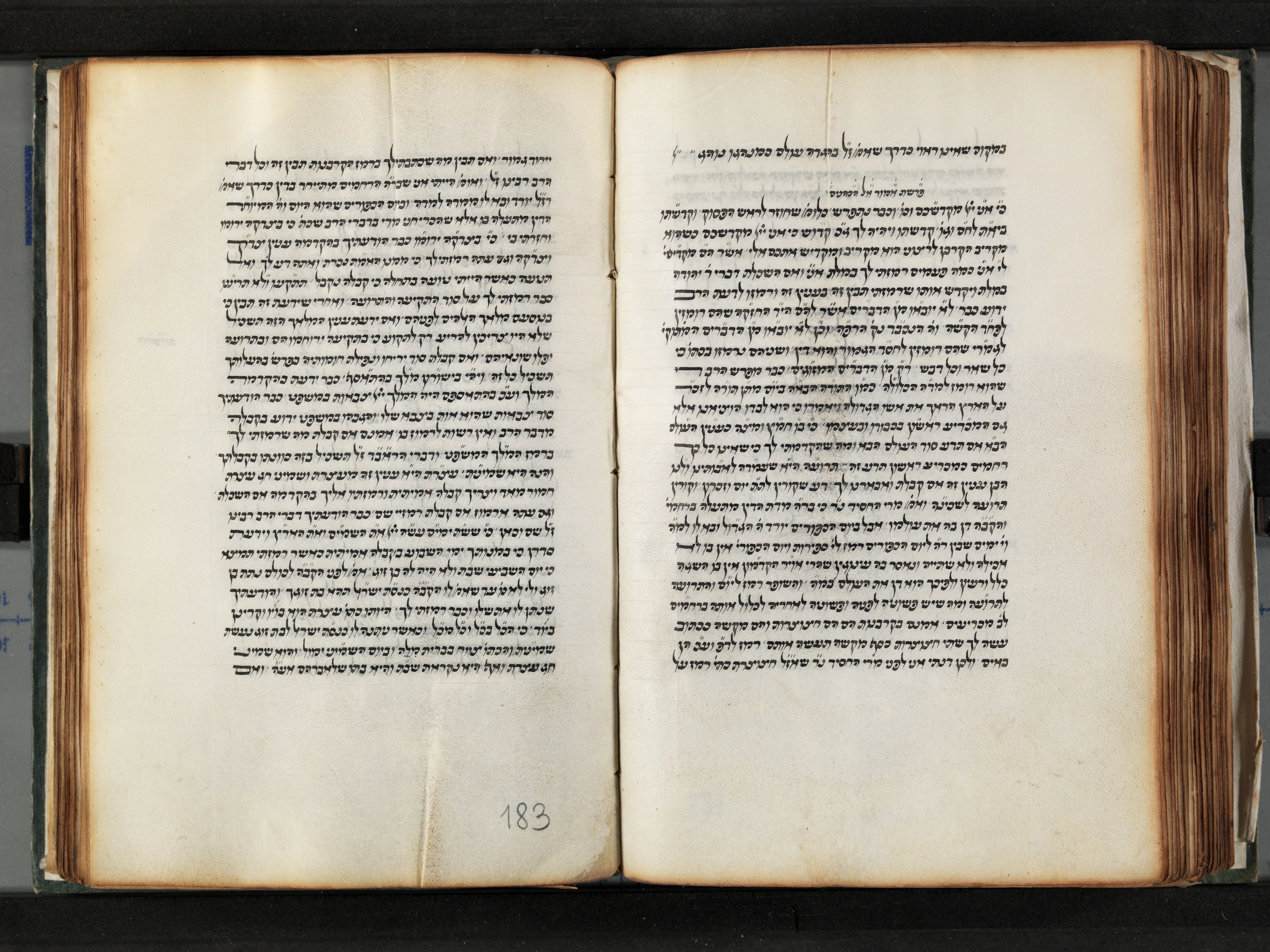 Image of item, e.g. a manuscript page