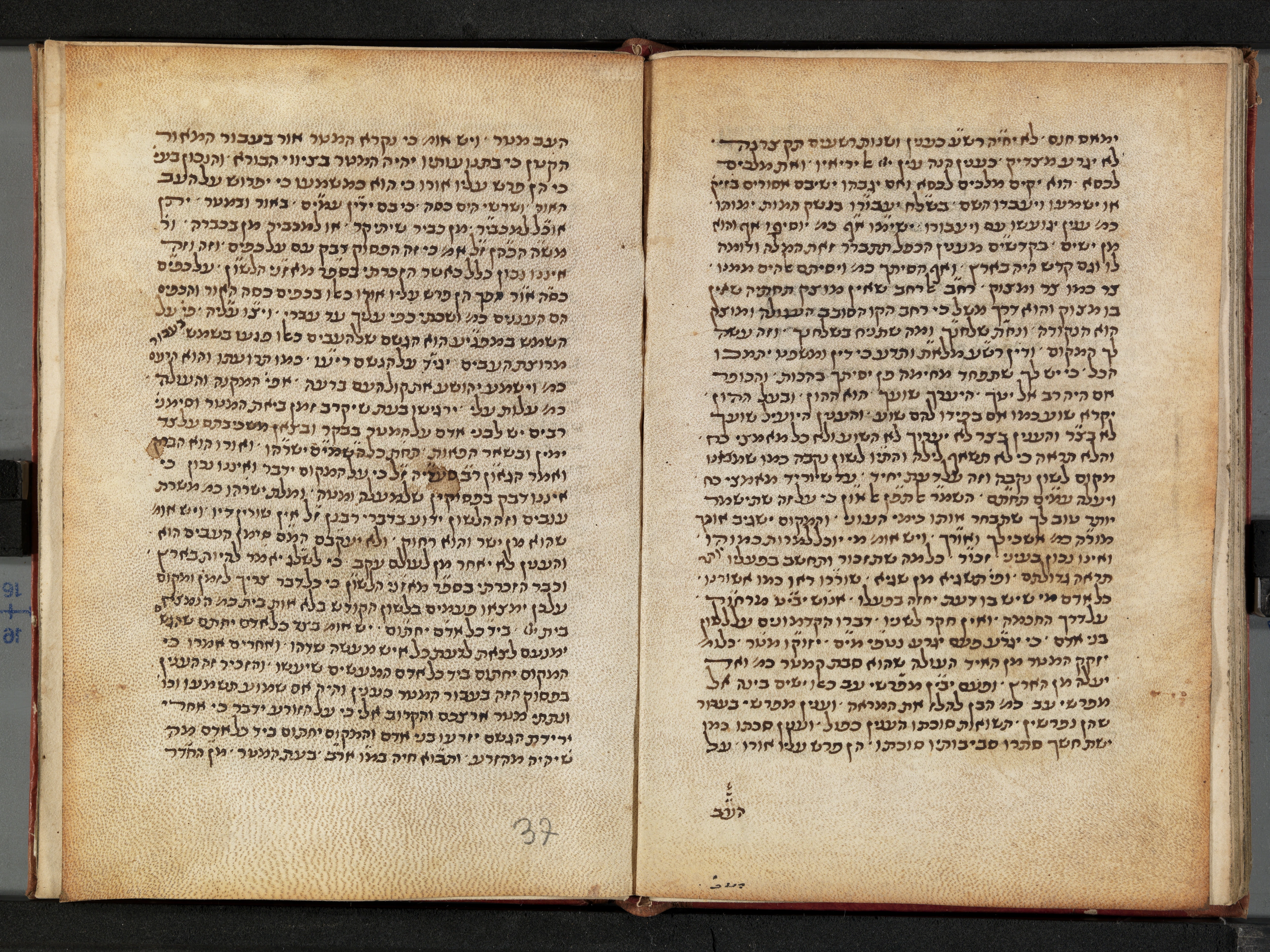 Image of item, e.g. a manuscript page