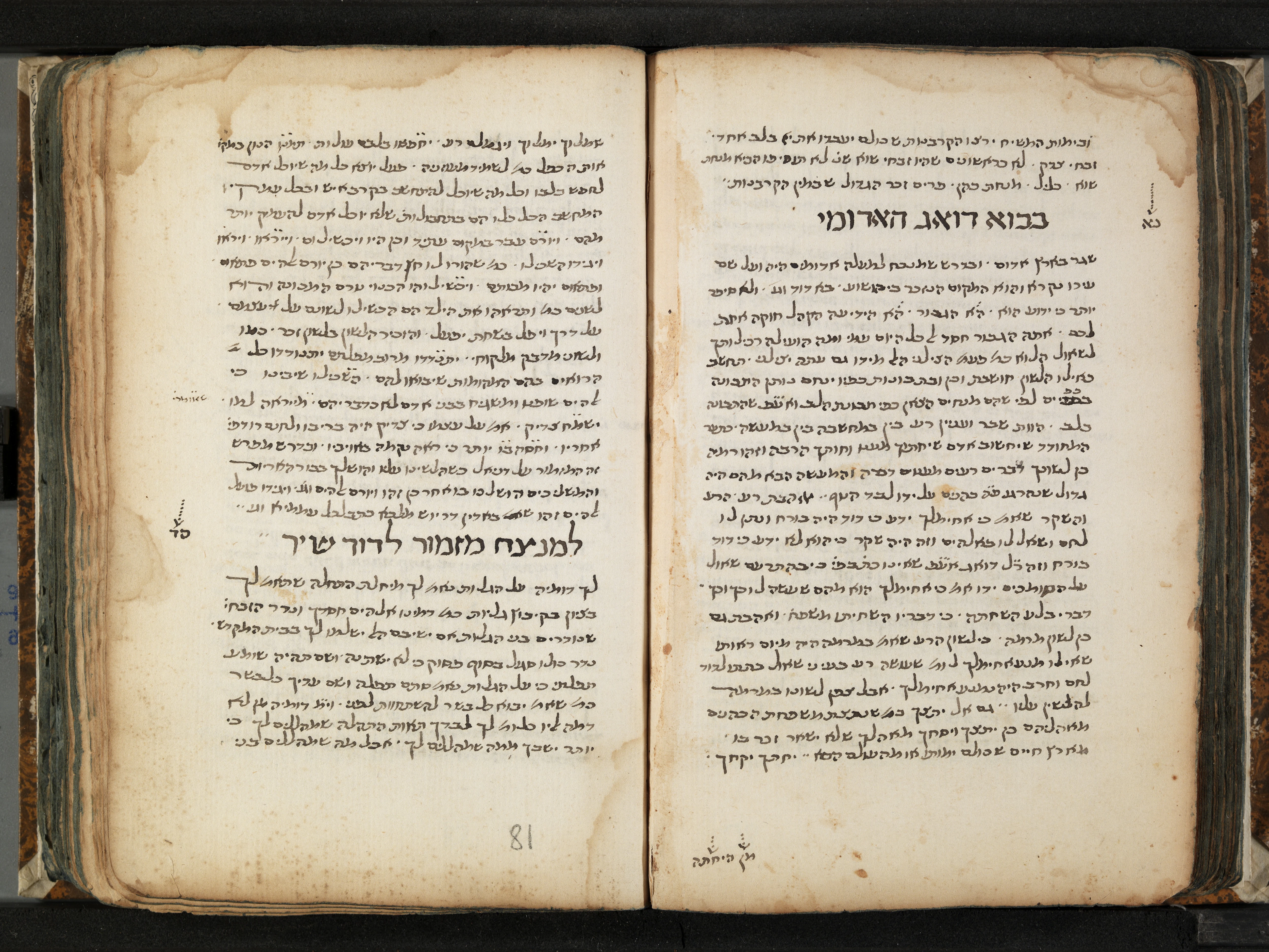 Image of item, e.g. a manuscript page