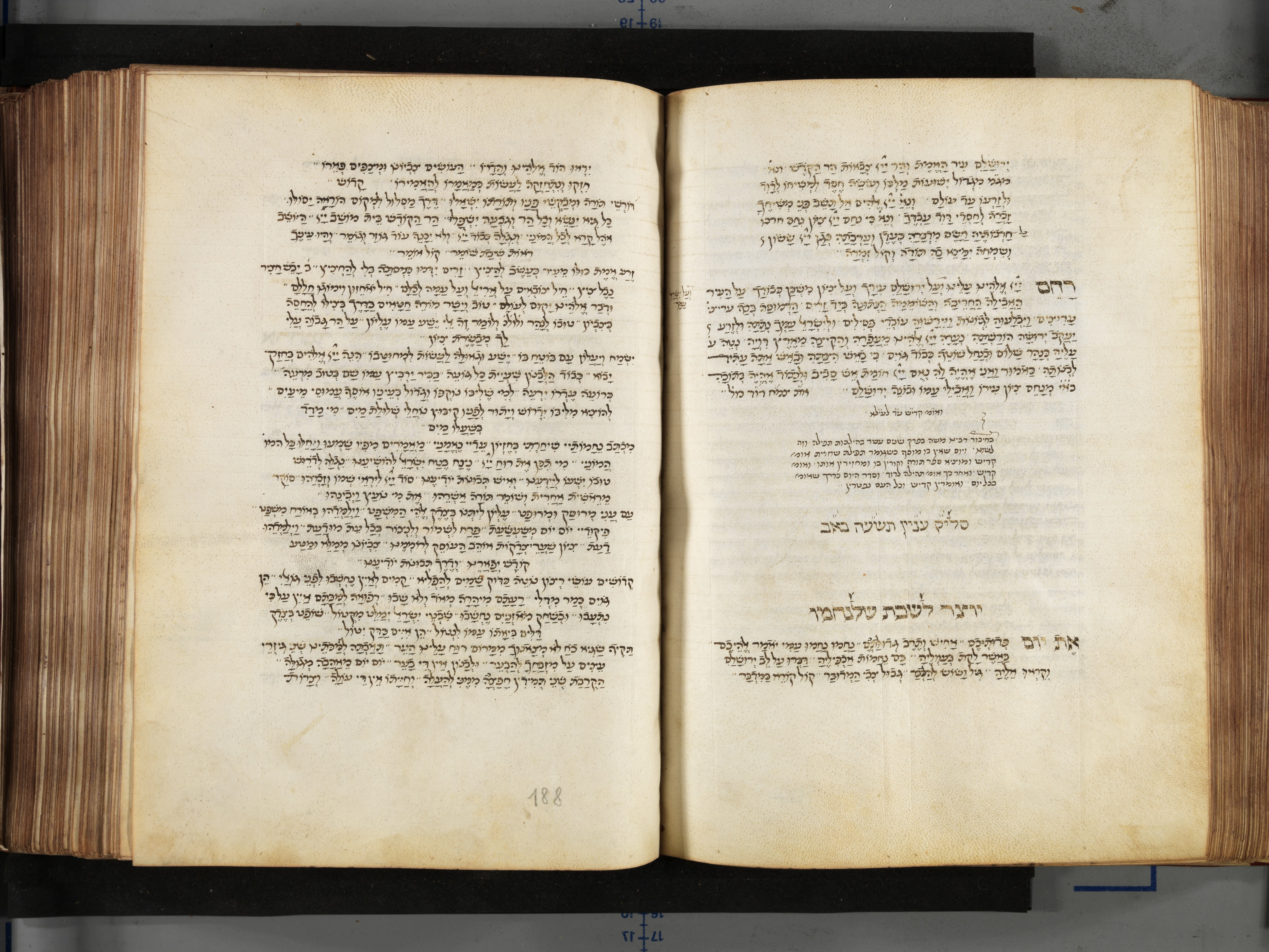 Image of item, e.g. a manuscript page