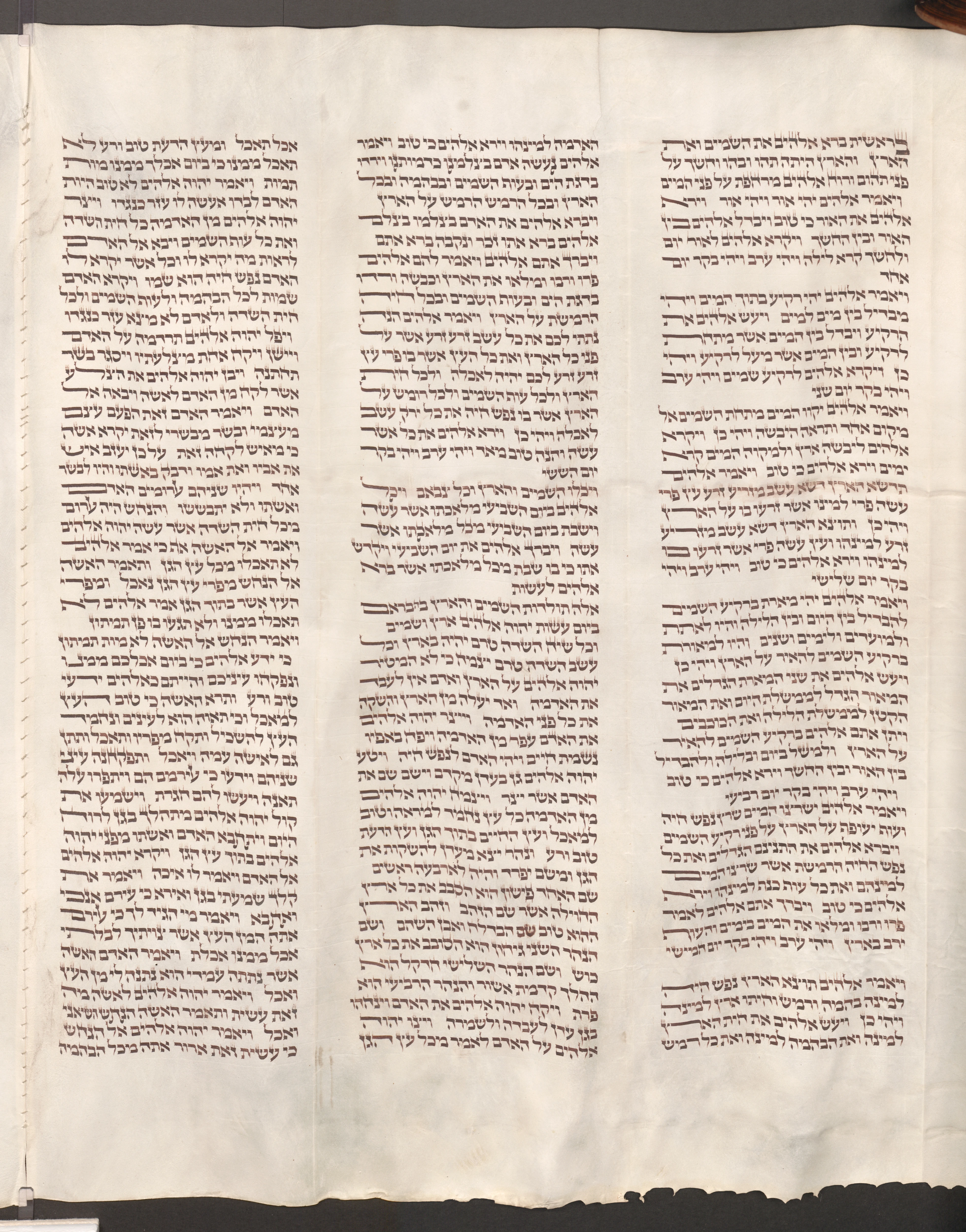 Image of item, e.g. a manuscript page