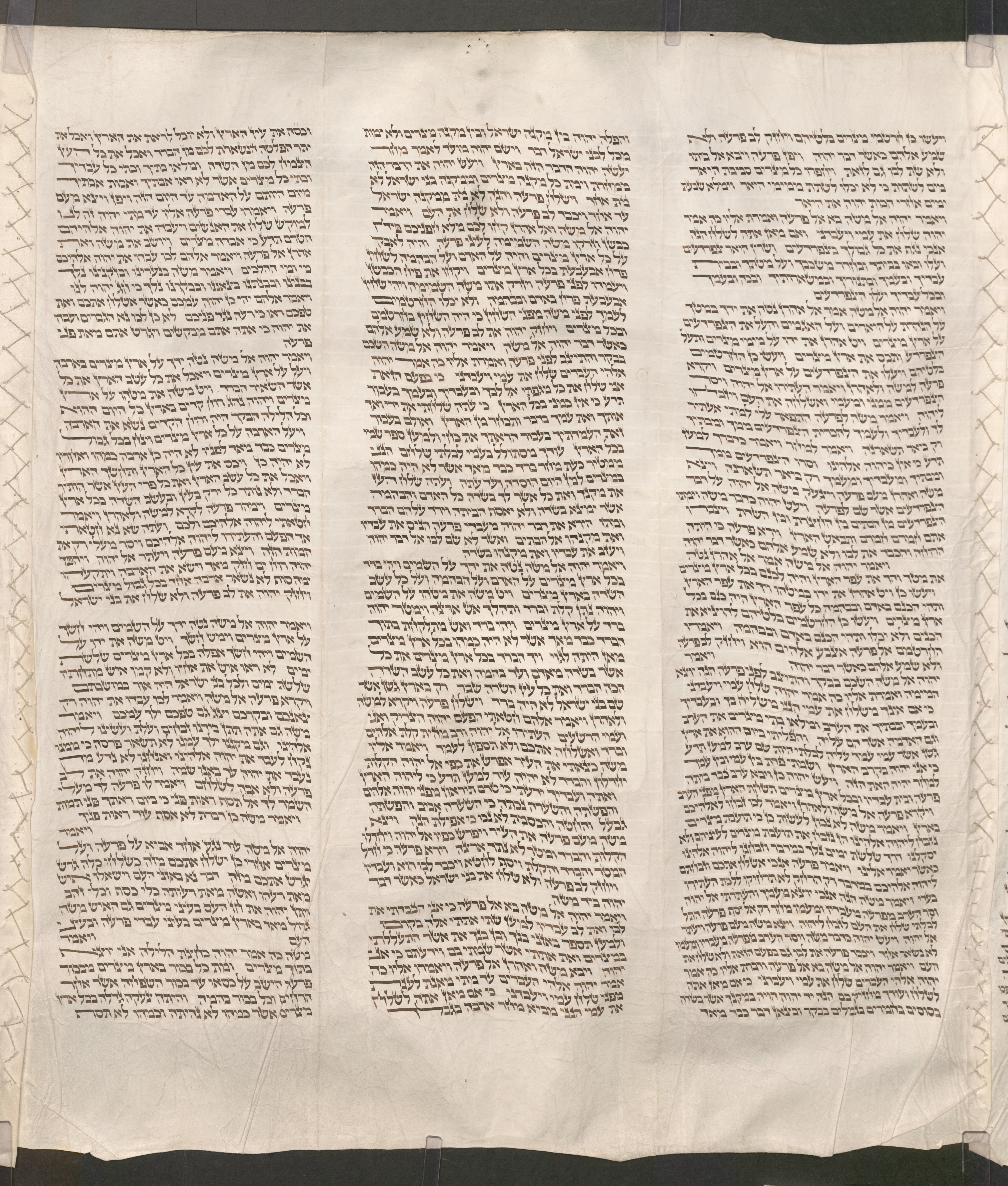 Image of item, e.g. a manuscript page