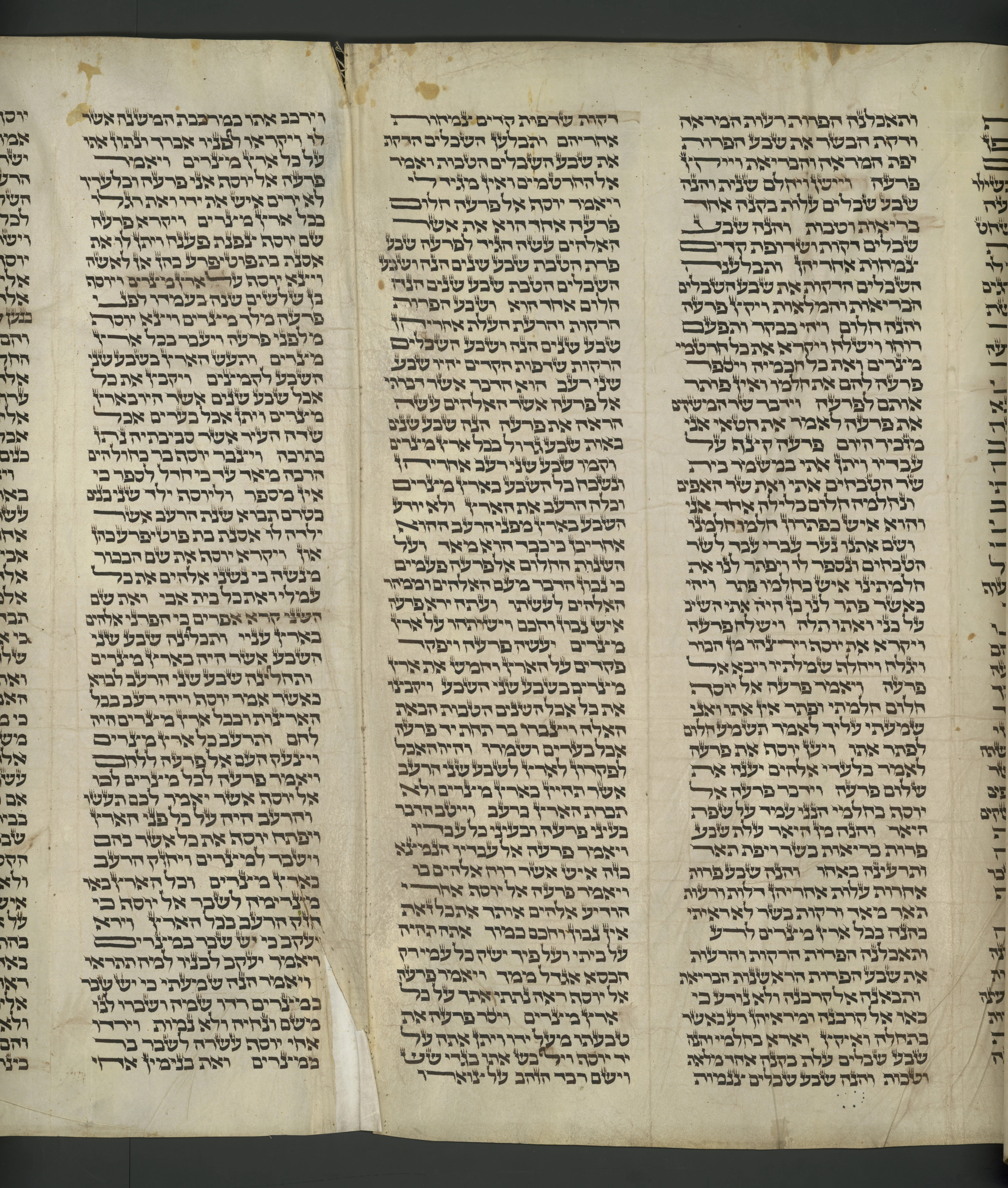 Image of item, e.g. a manuscript page