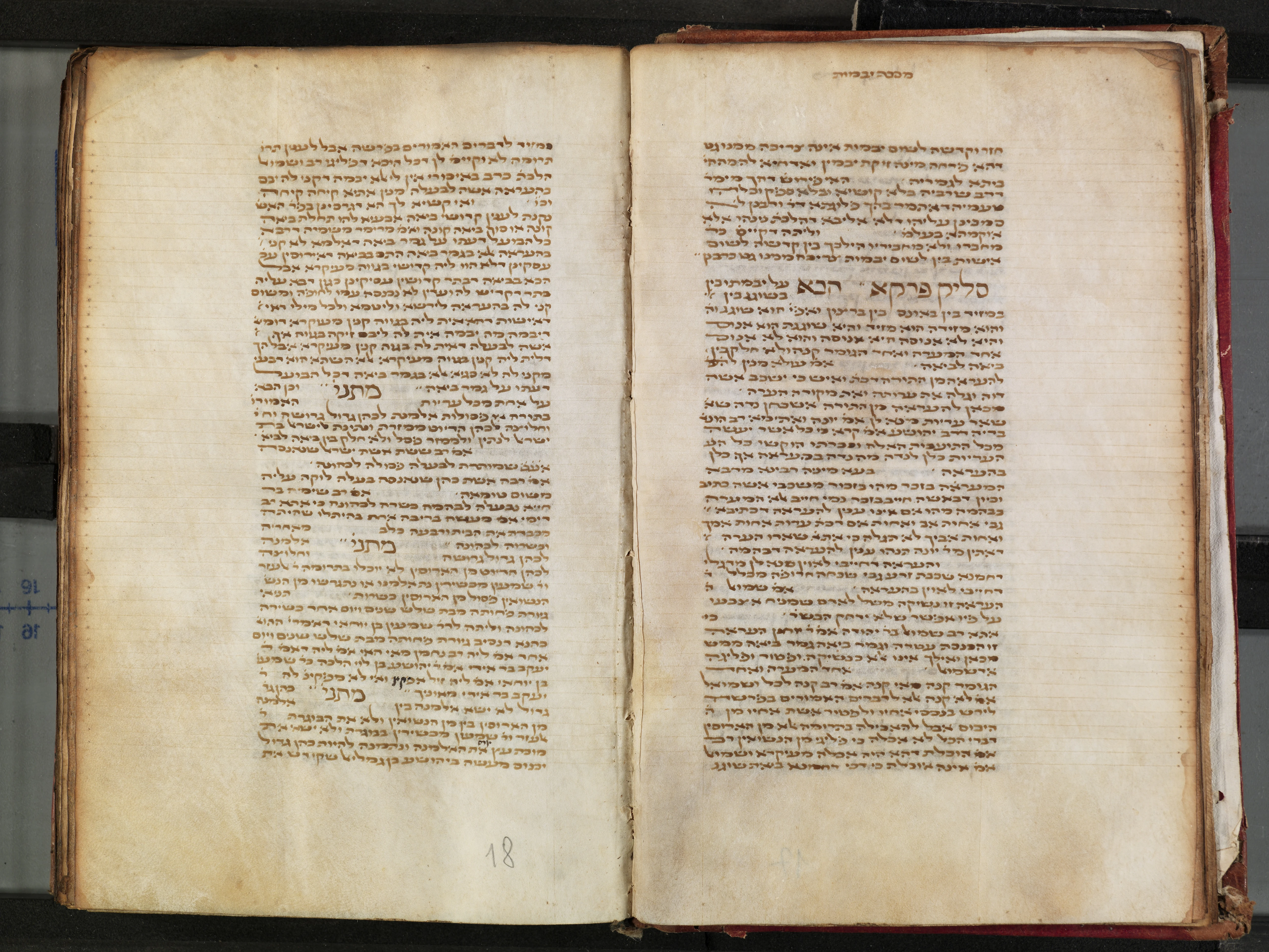 Image of item, e.g. a manuscript page