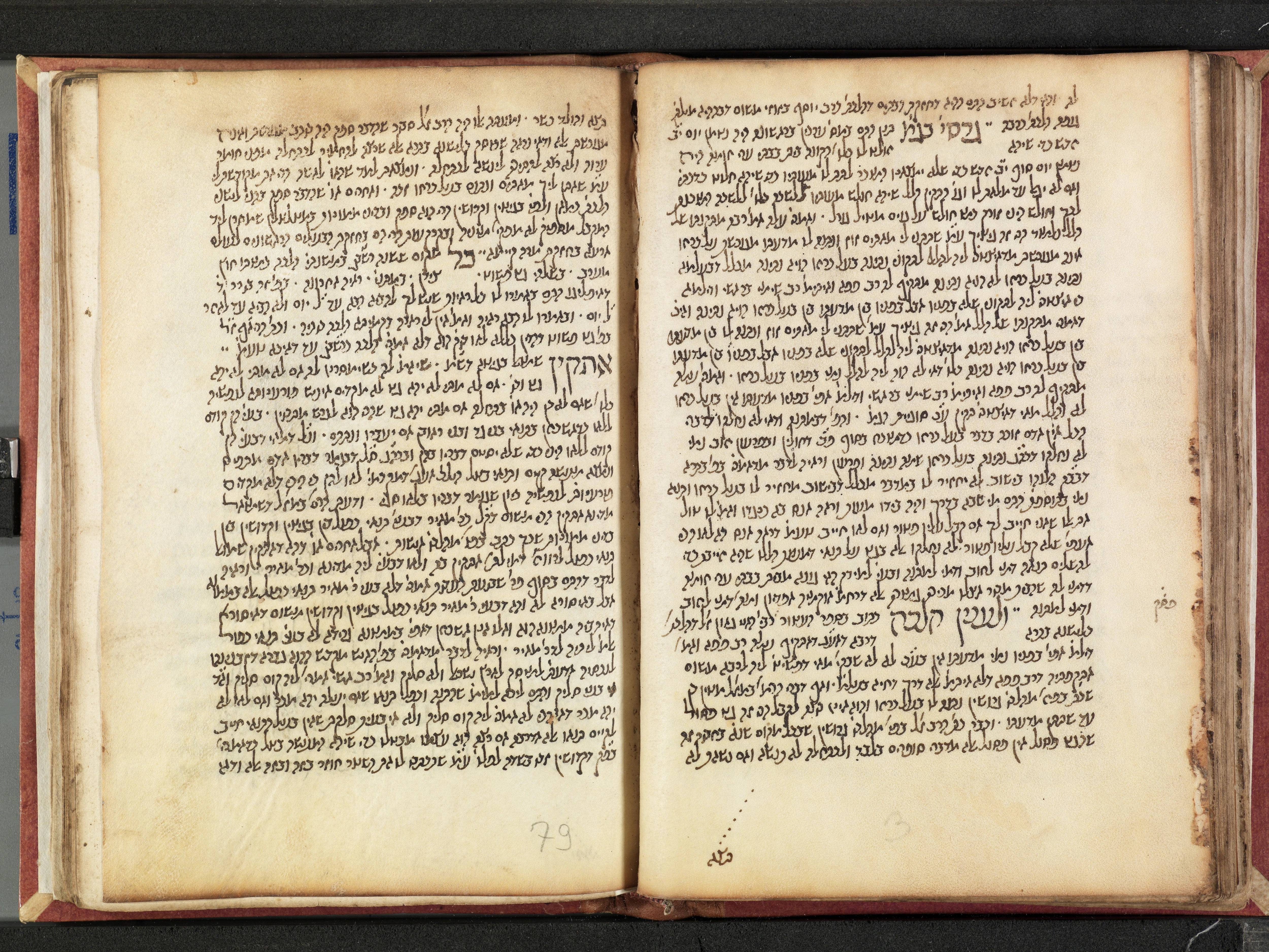 Image of item, e.g. a manuscript page