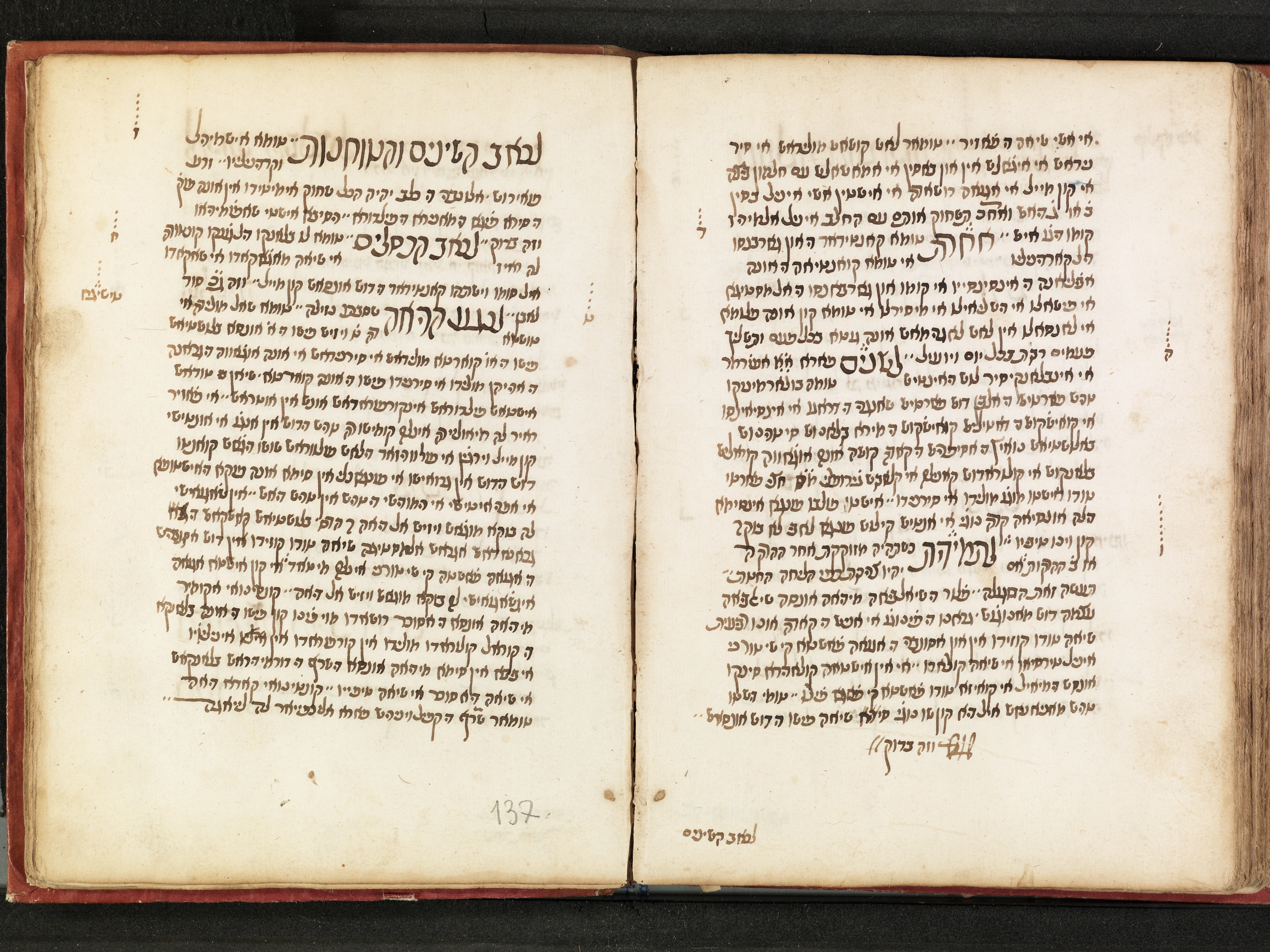 Image of item, e.g. a manuscript page