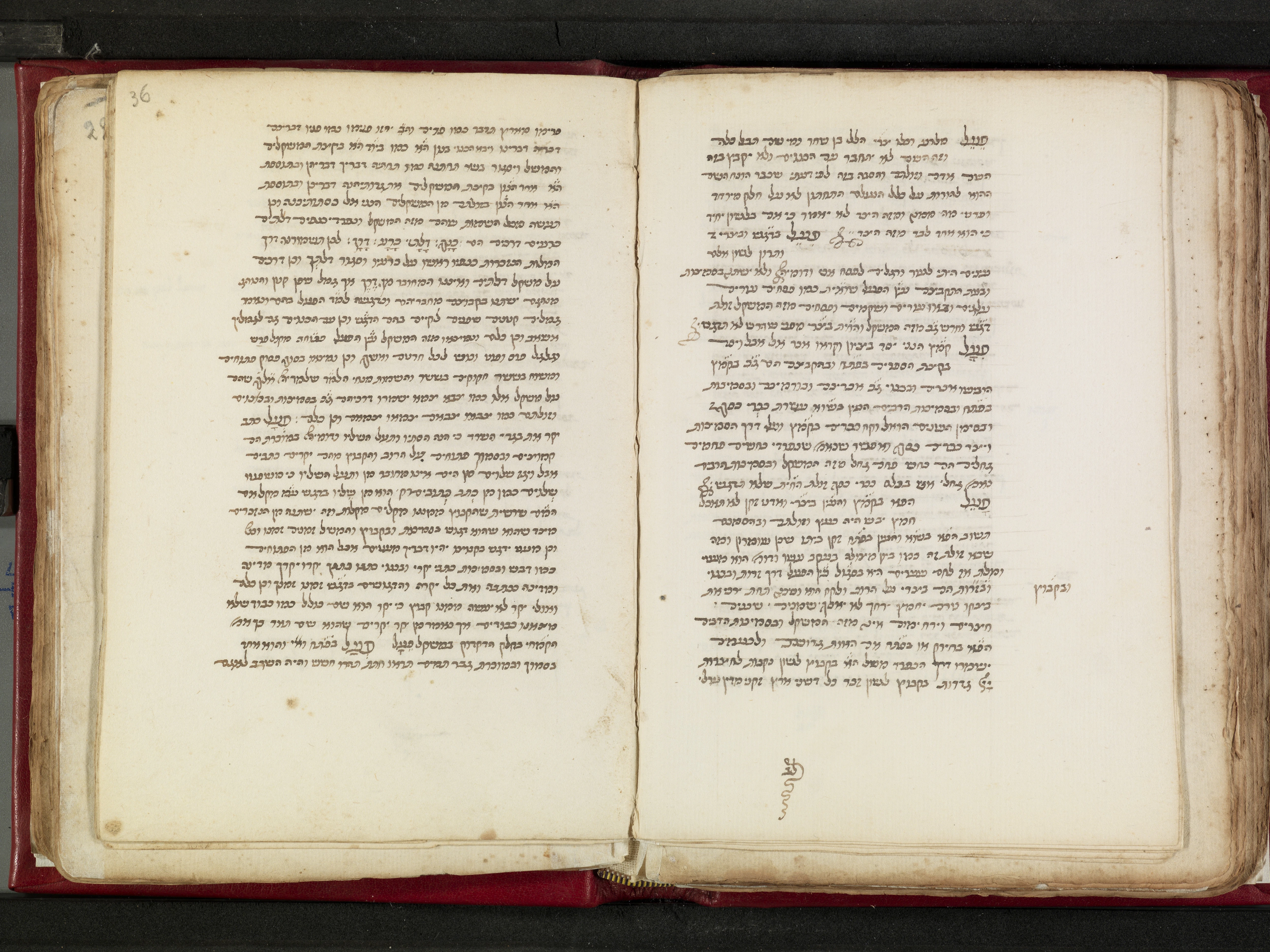 Image of item, e.g. a manuscript page