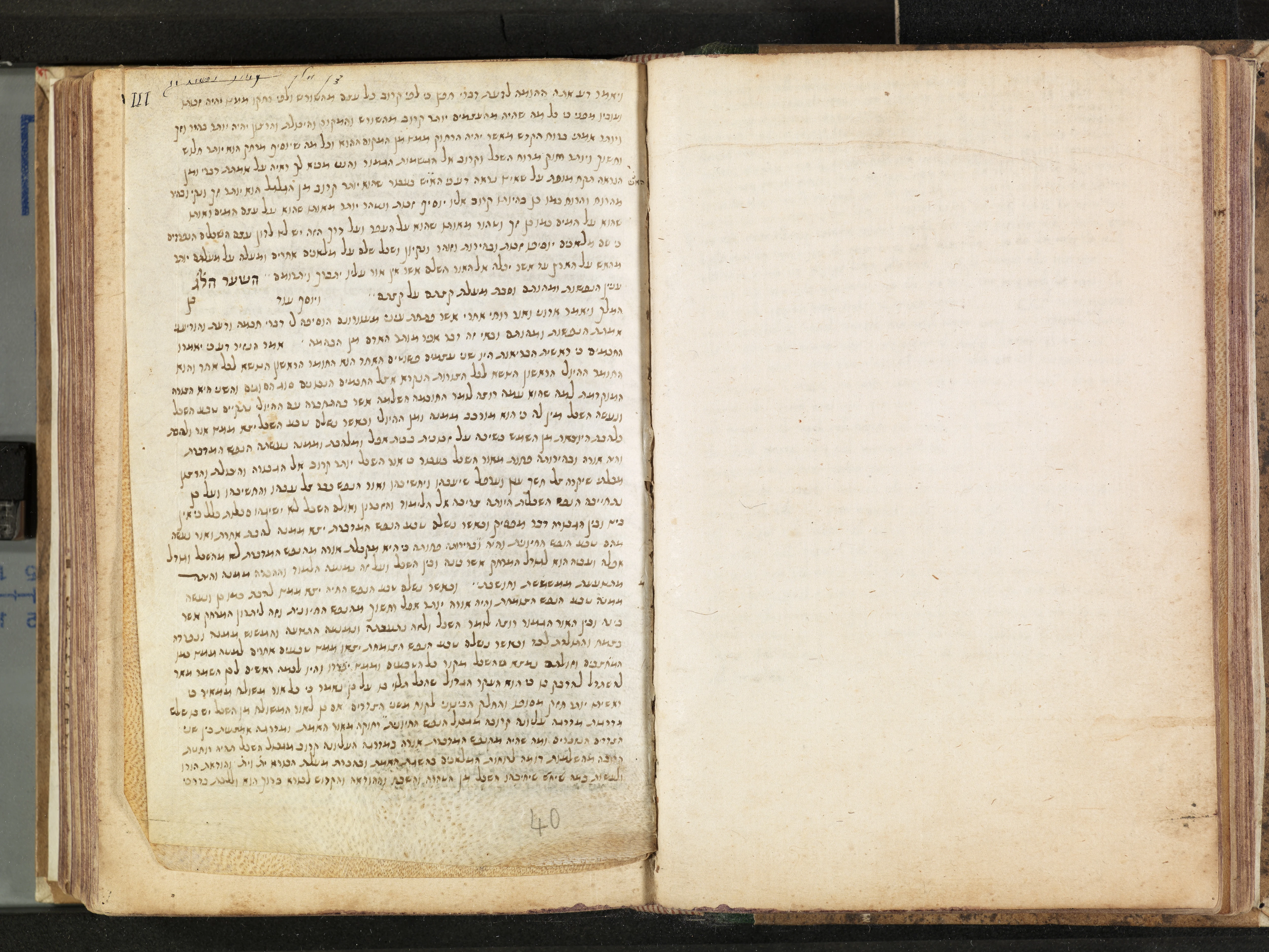 Image of item, e.g. a manuscript page