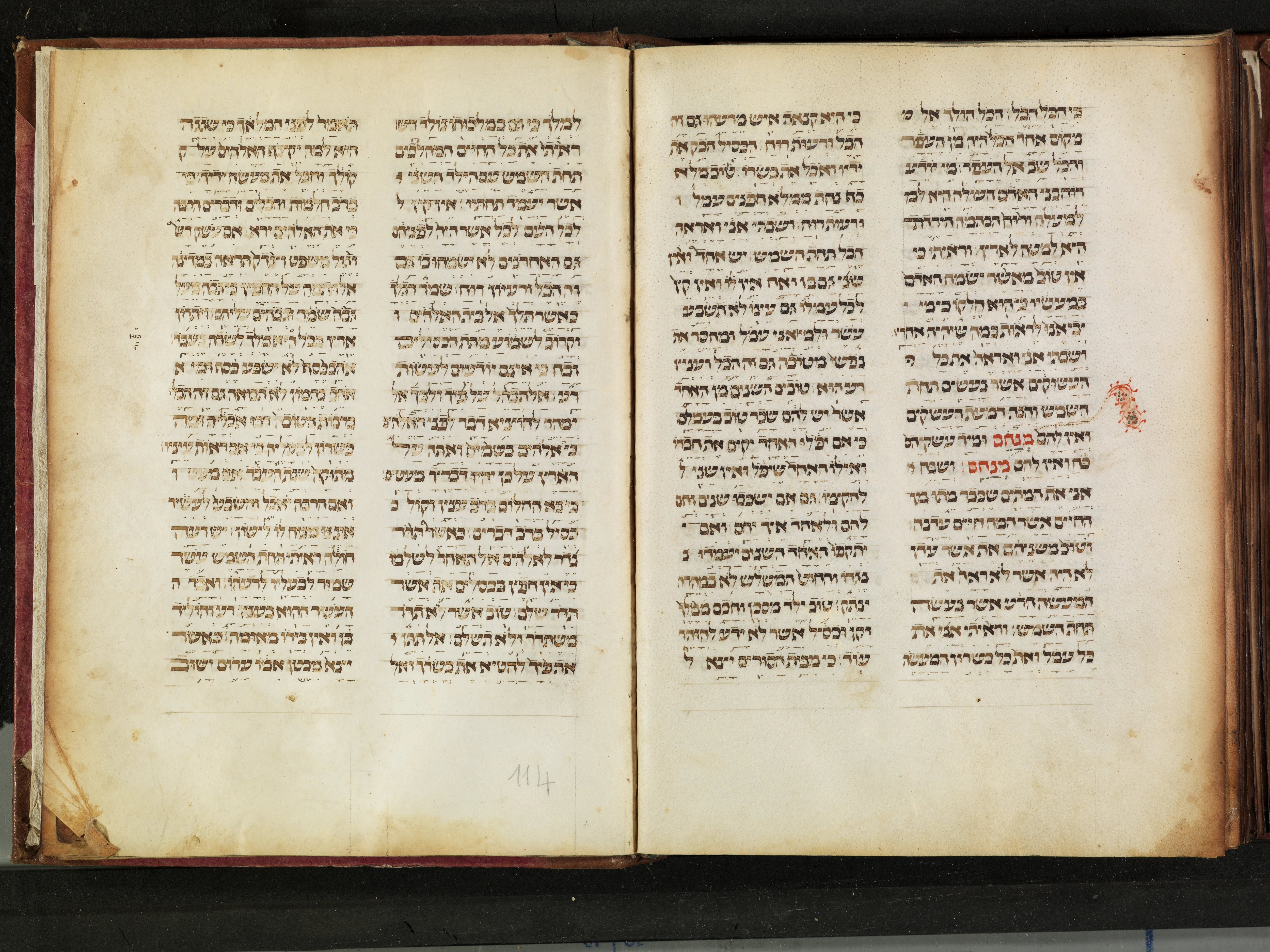 Image of item, e.g. a manuscript page
