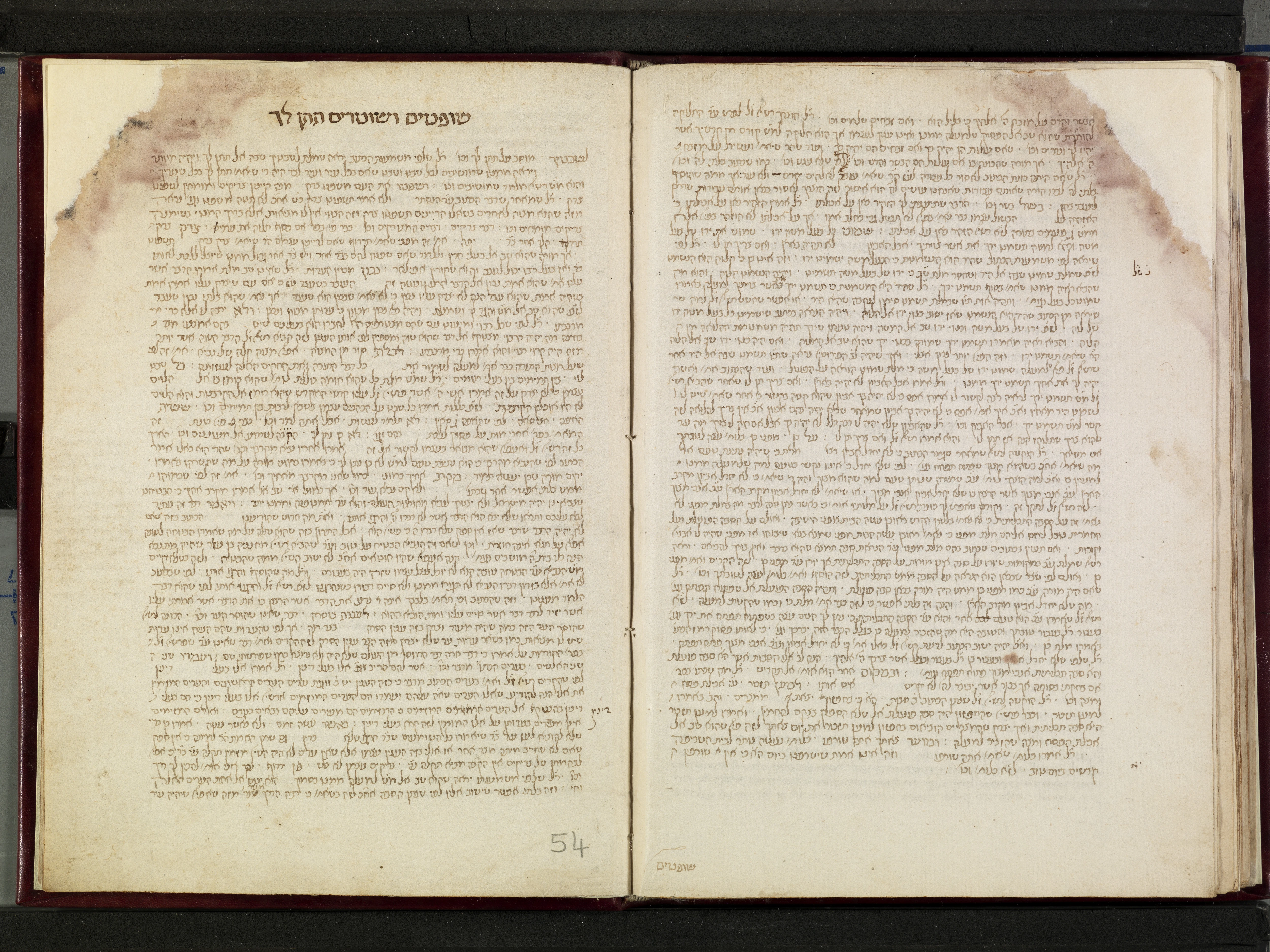 Image of item, e.g. a manuscript page