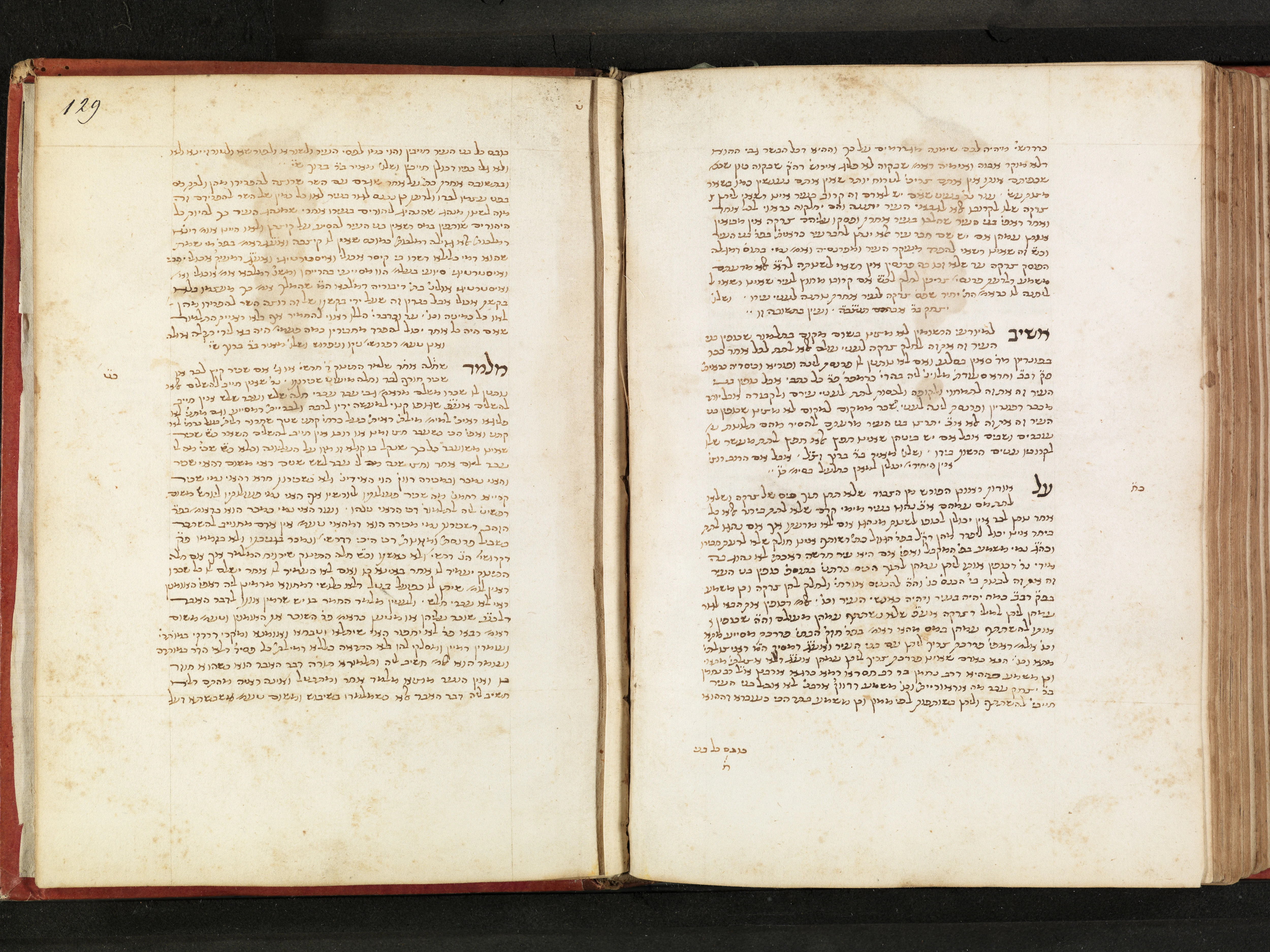 Image of item, e.g. a manuscript page