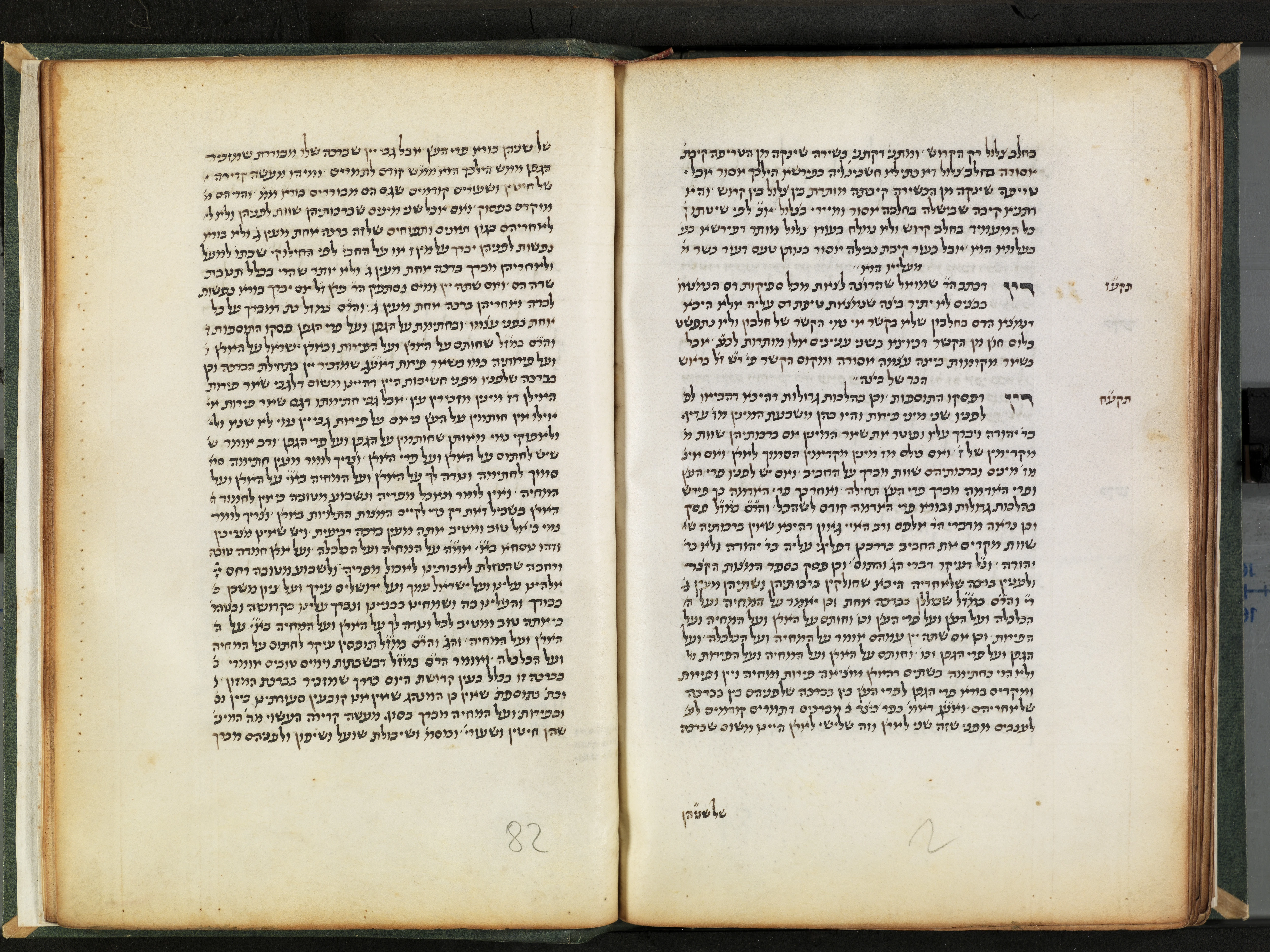 Image of item, e.g. a manuscript page