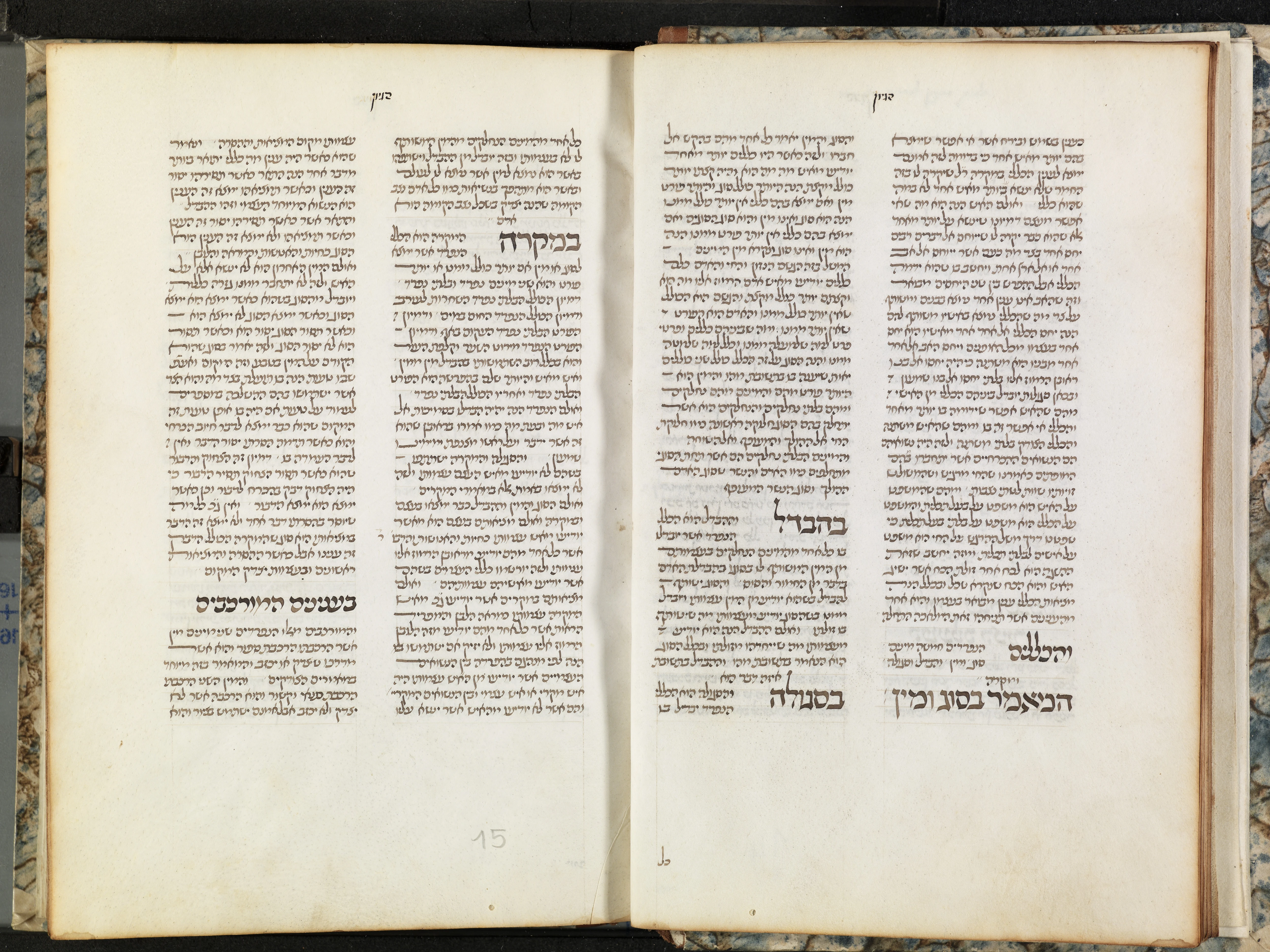 Image of item, e.g. a manuscript page