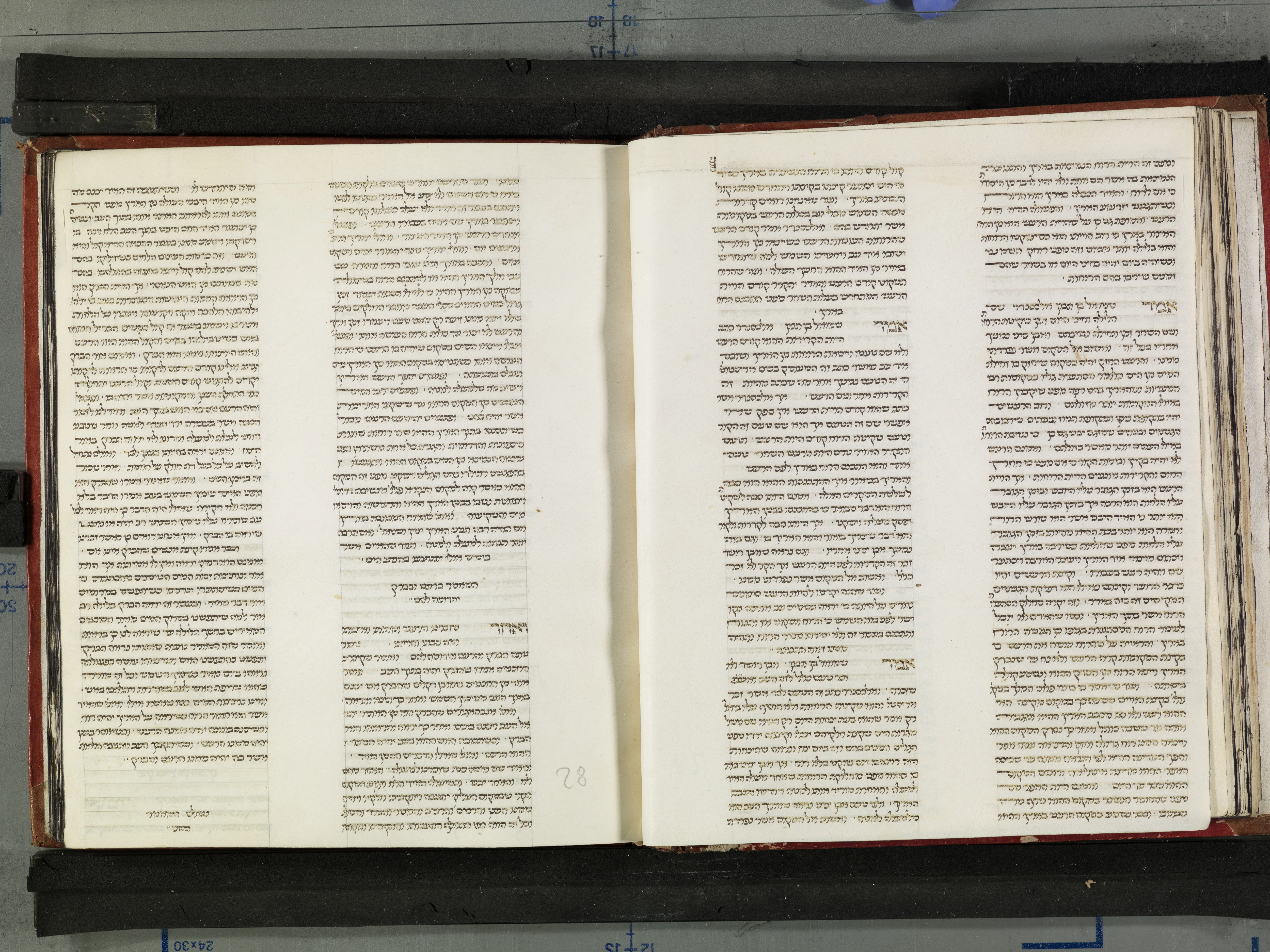 Image of item, e.g. a manuscript page