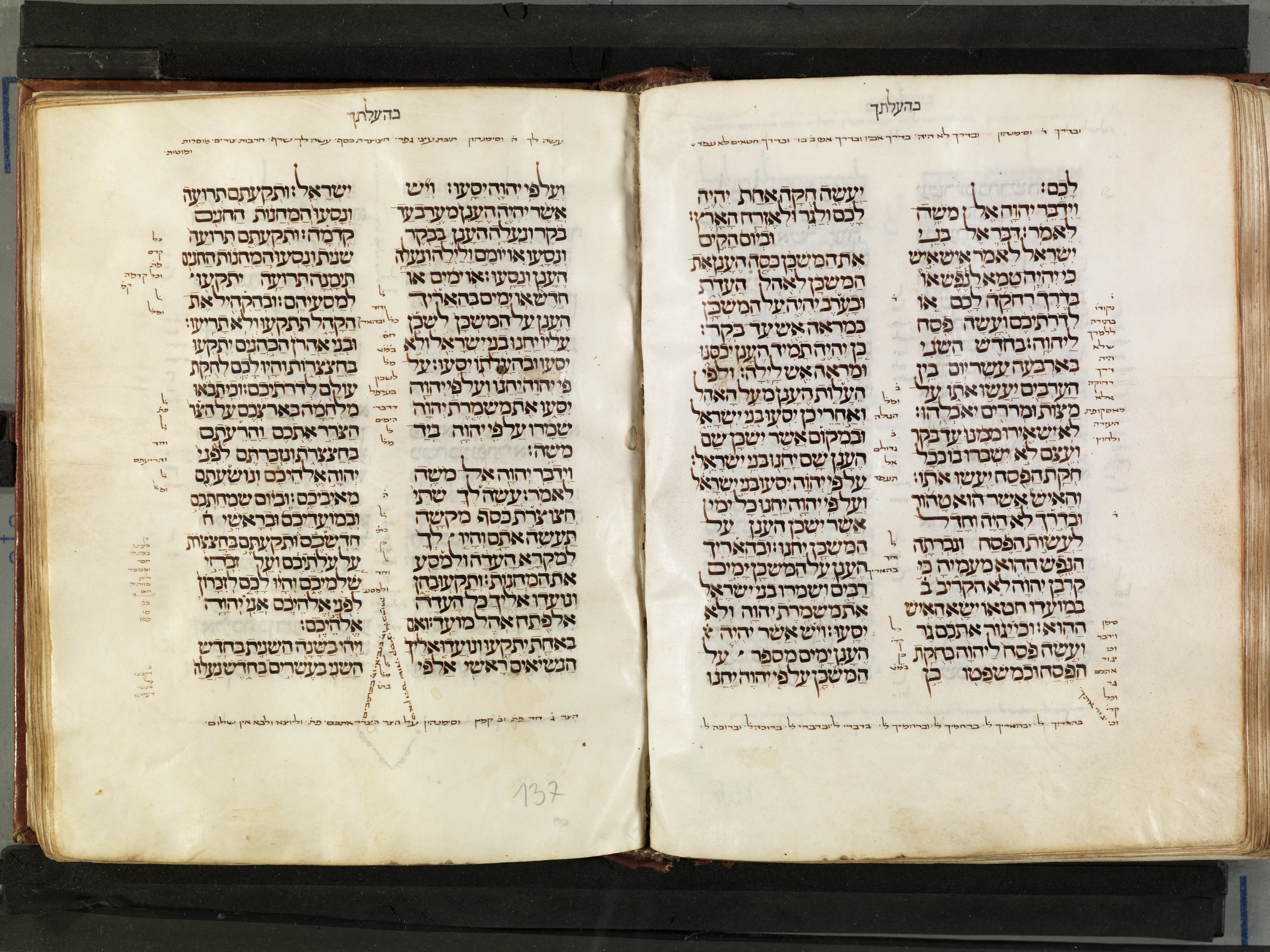 Image of item, e.g. a manuscript page