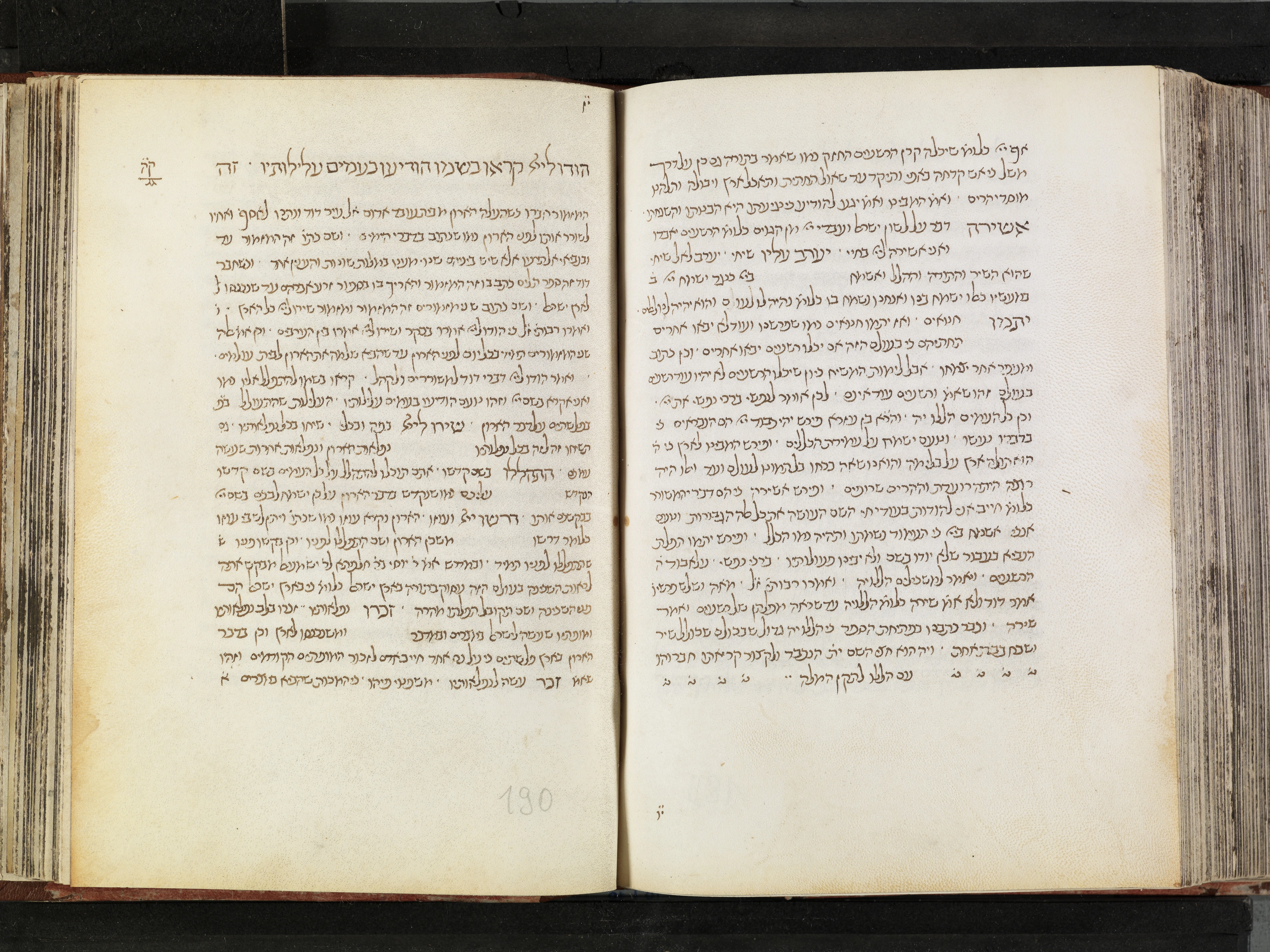Image of item, e.g. a manuscript page