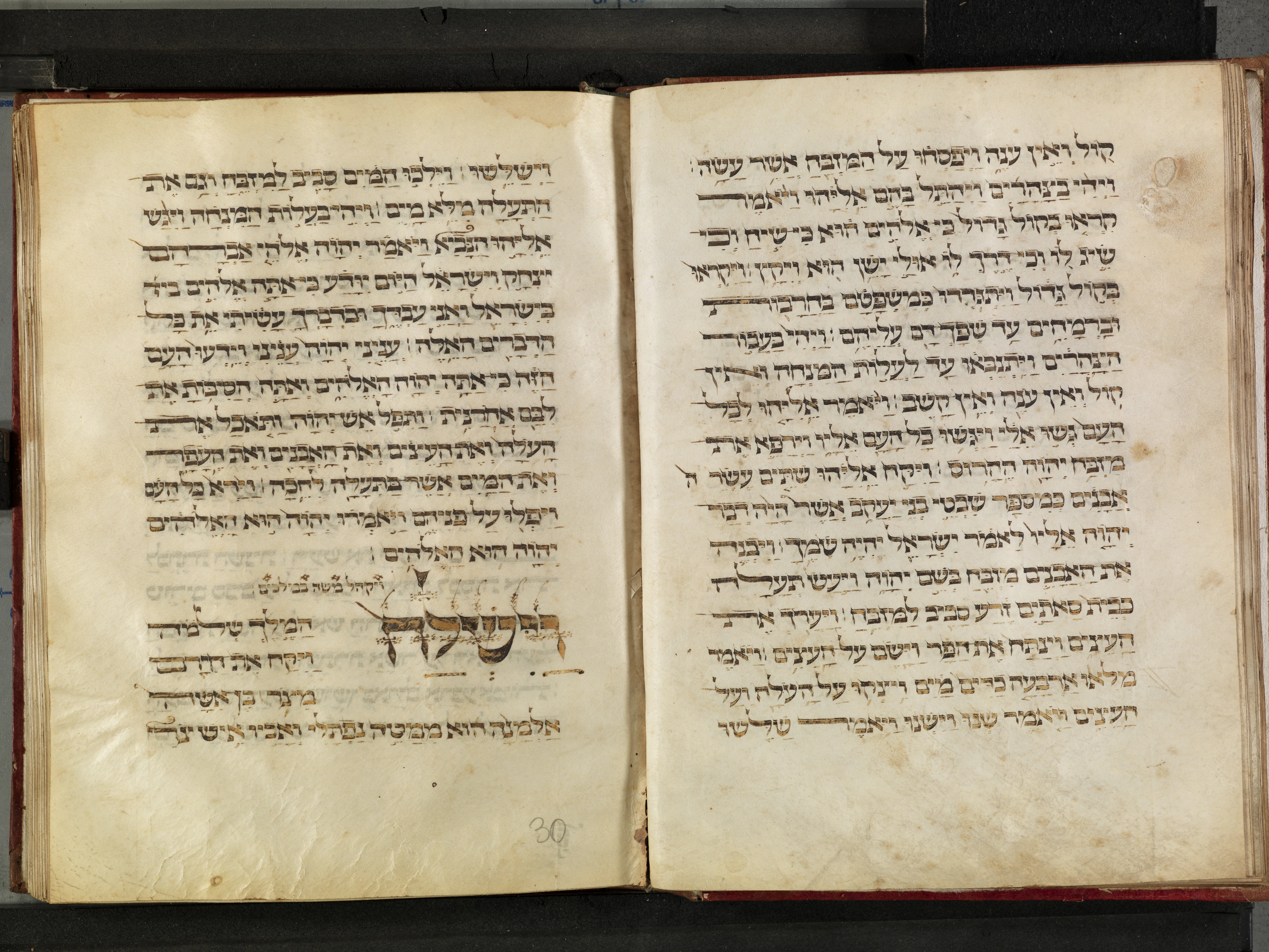Image of item, e.g. a manuscript page