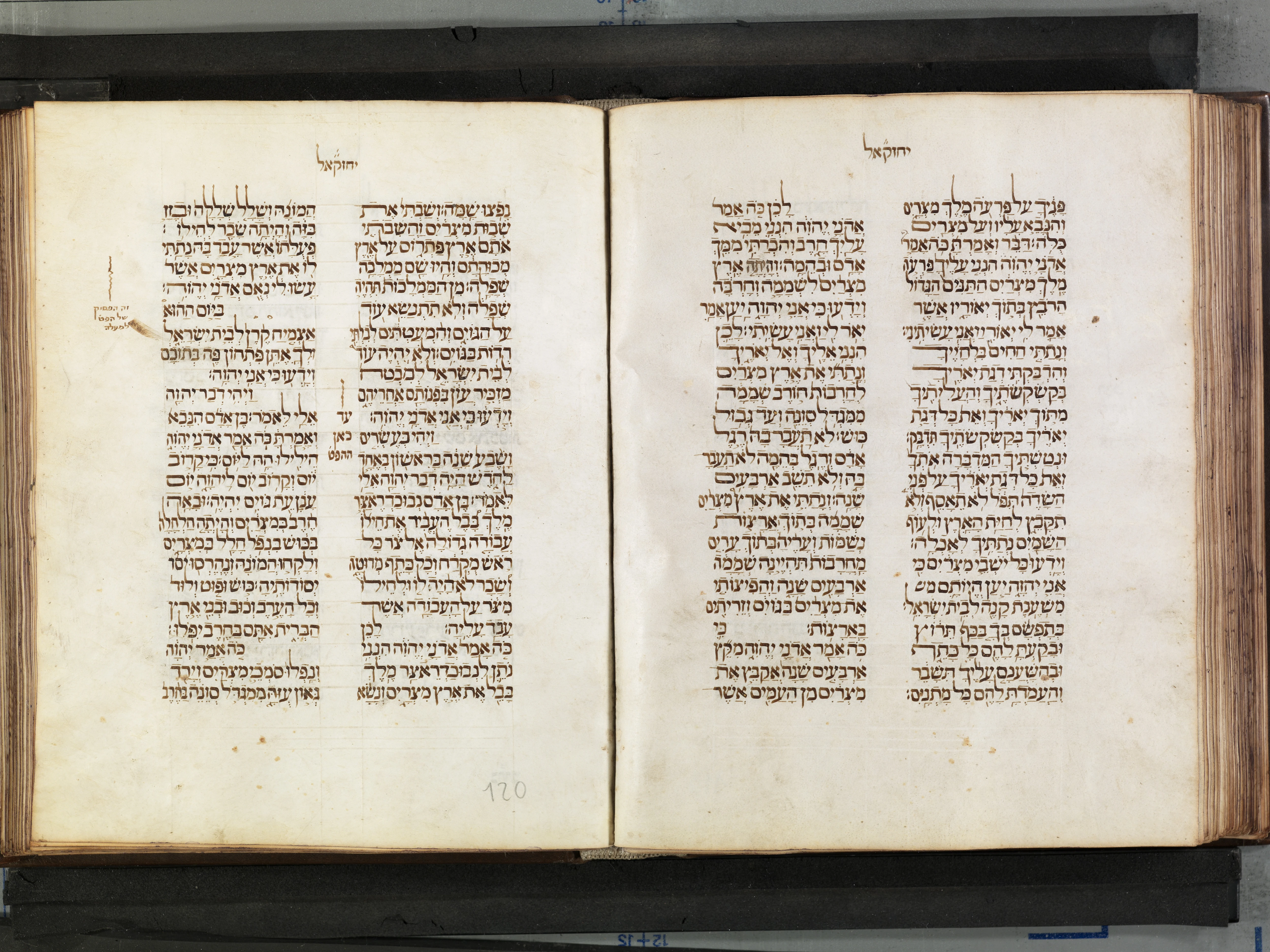 Image of item, e.g. a manuscript page