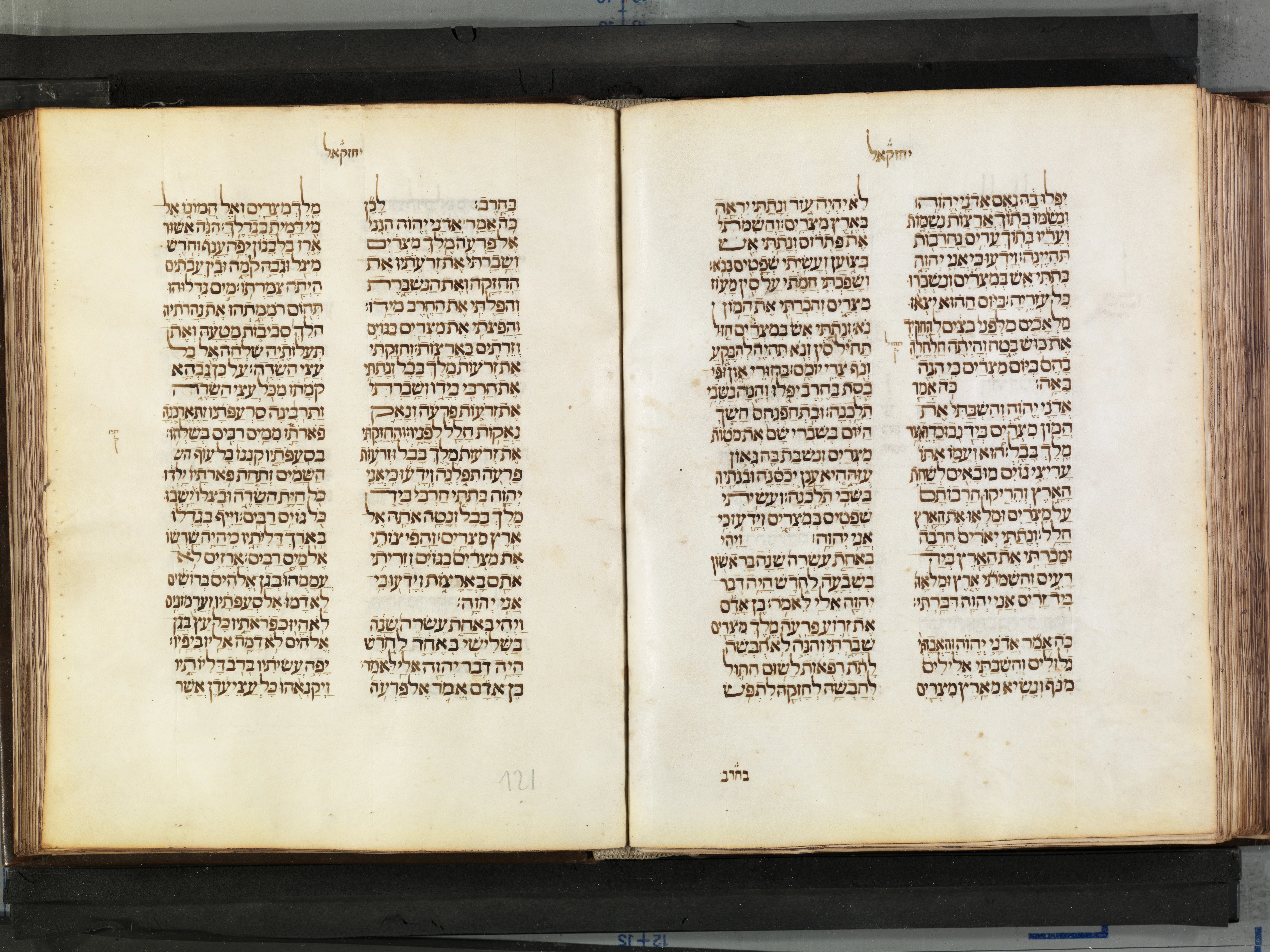 Image of item, e.g. a manuscript page