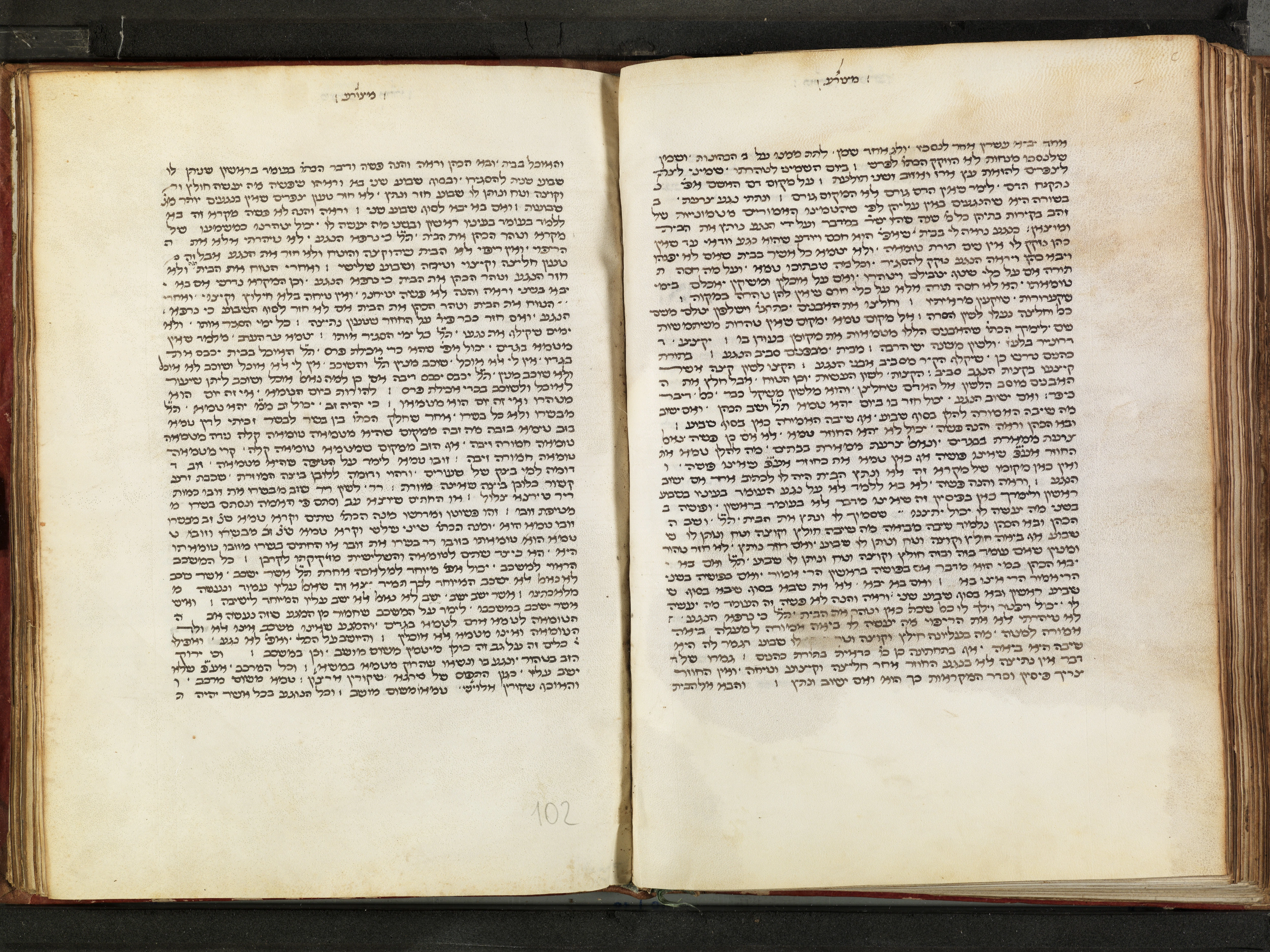 Image of item, e.g. a manuscript page