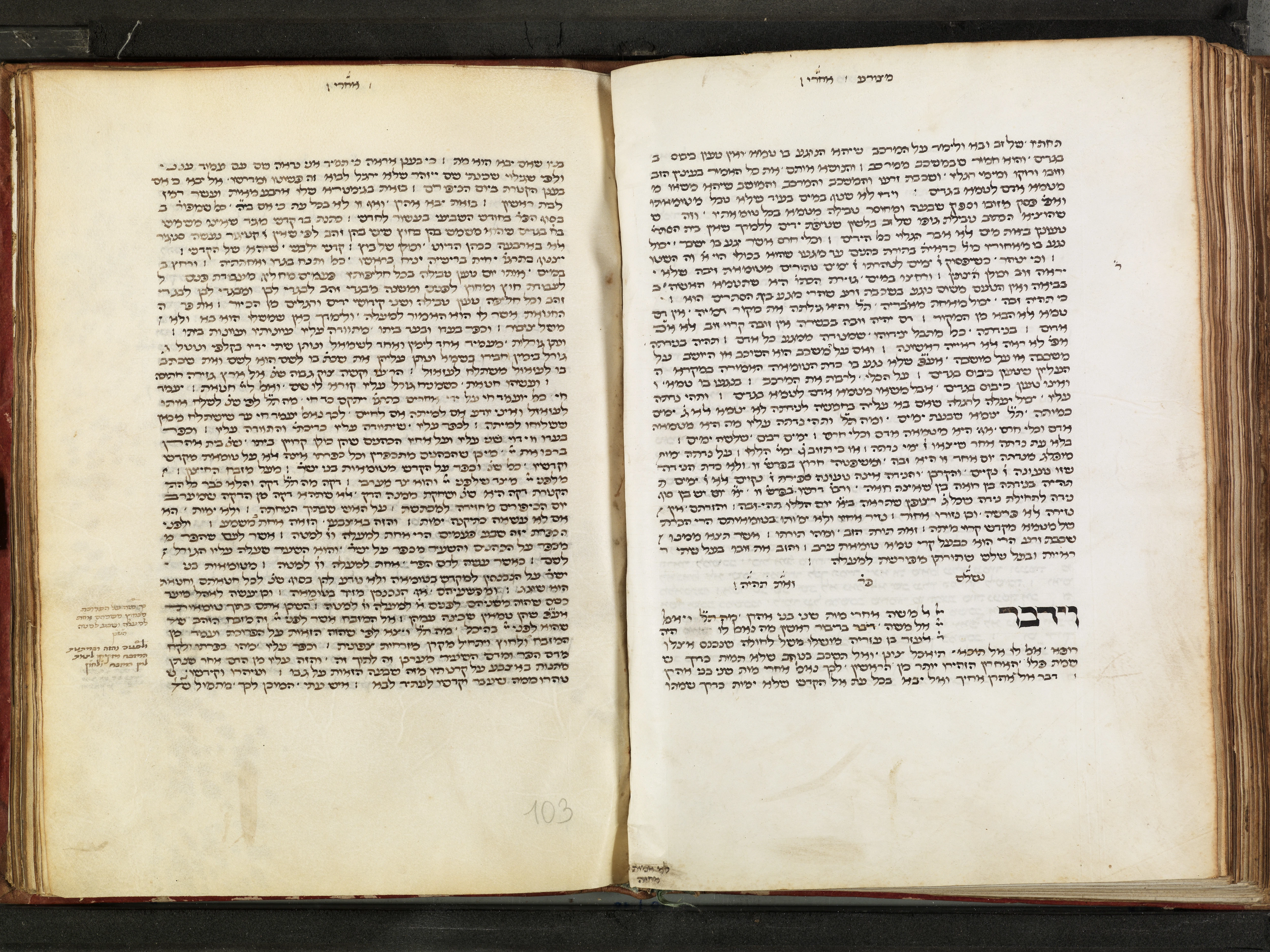 Image of item, e.g. a manuscript page