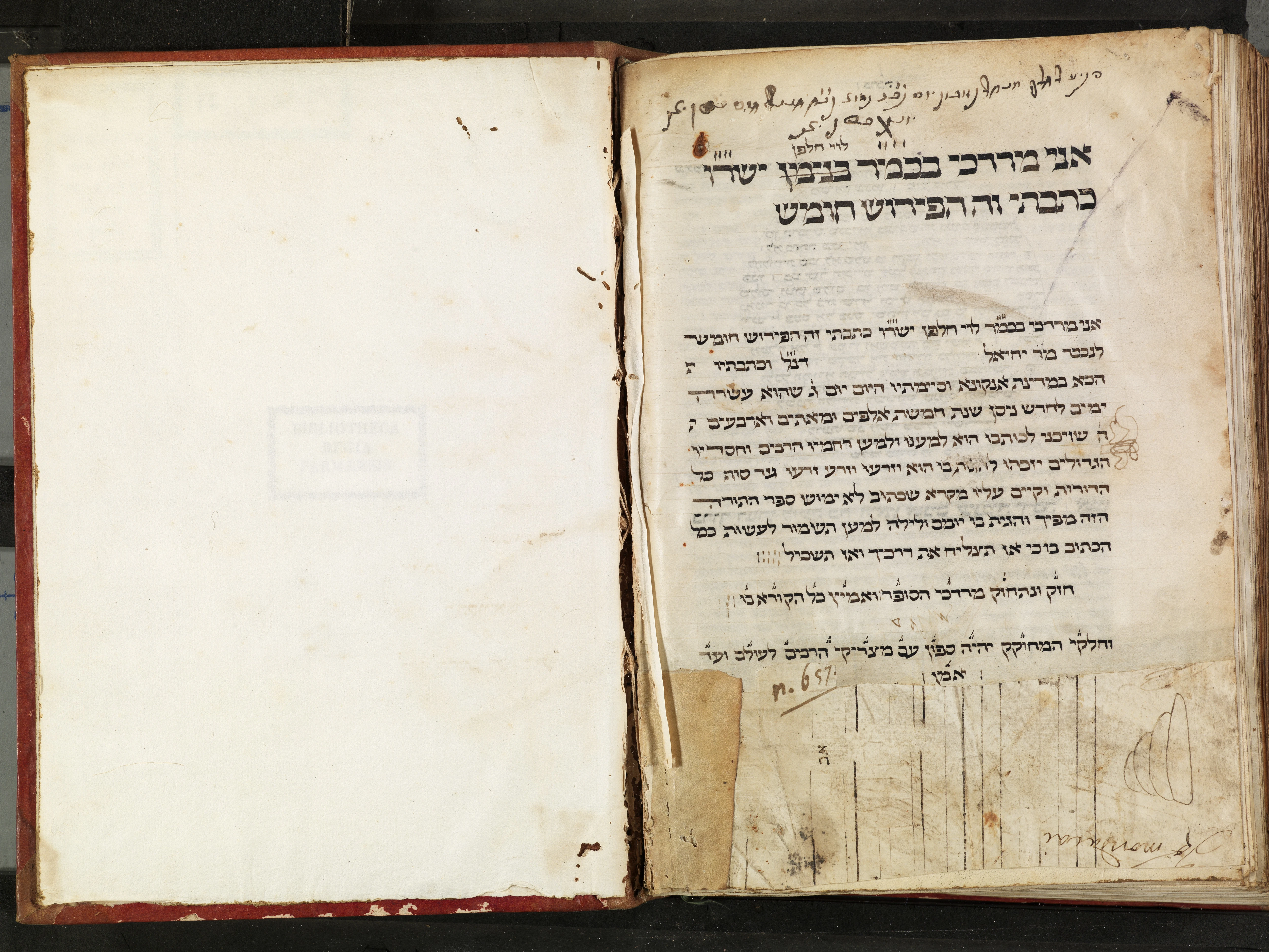 Image of item, e.g. a manuscript page
