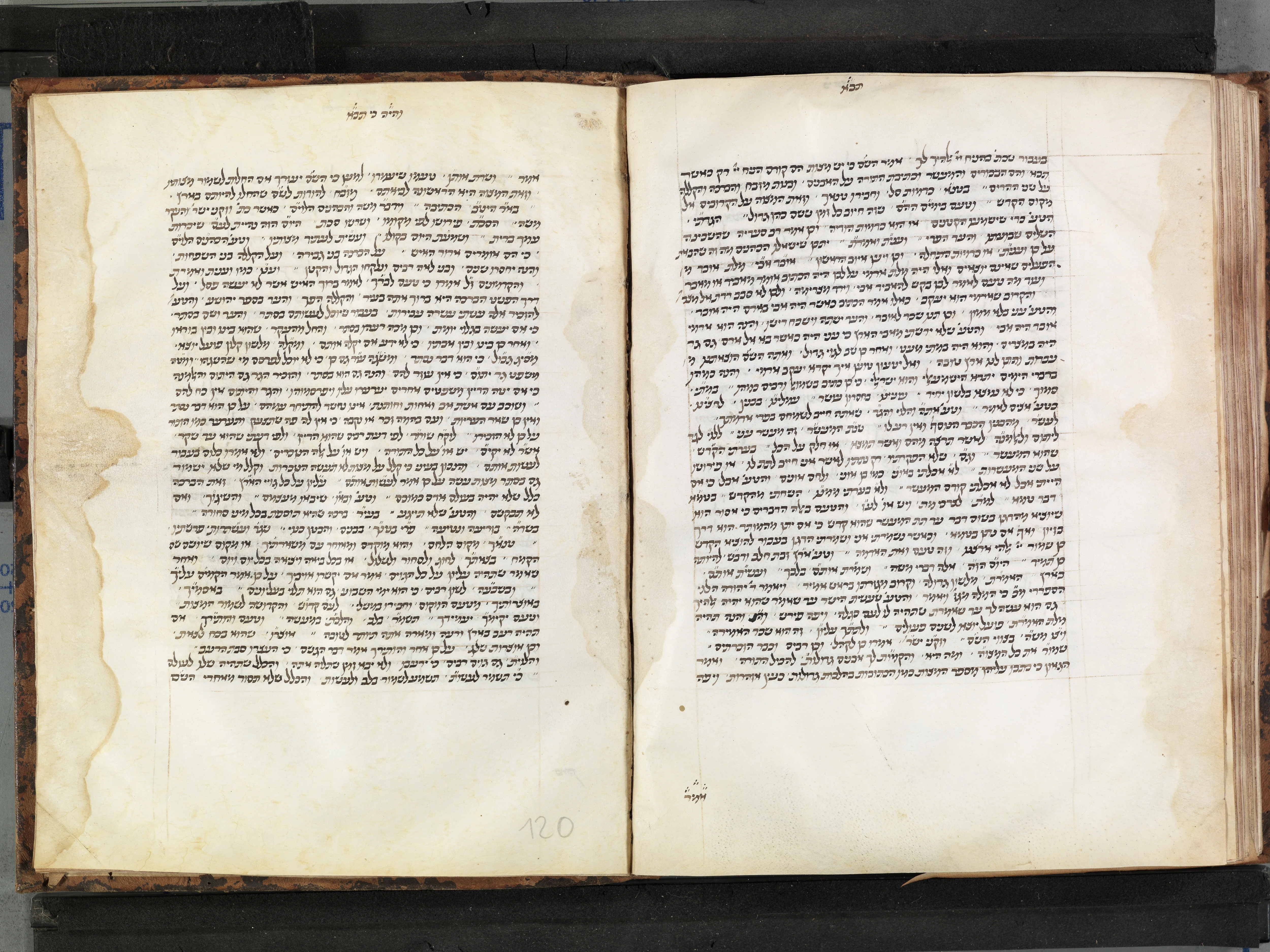 Image of item, e.g. a manuscript page
