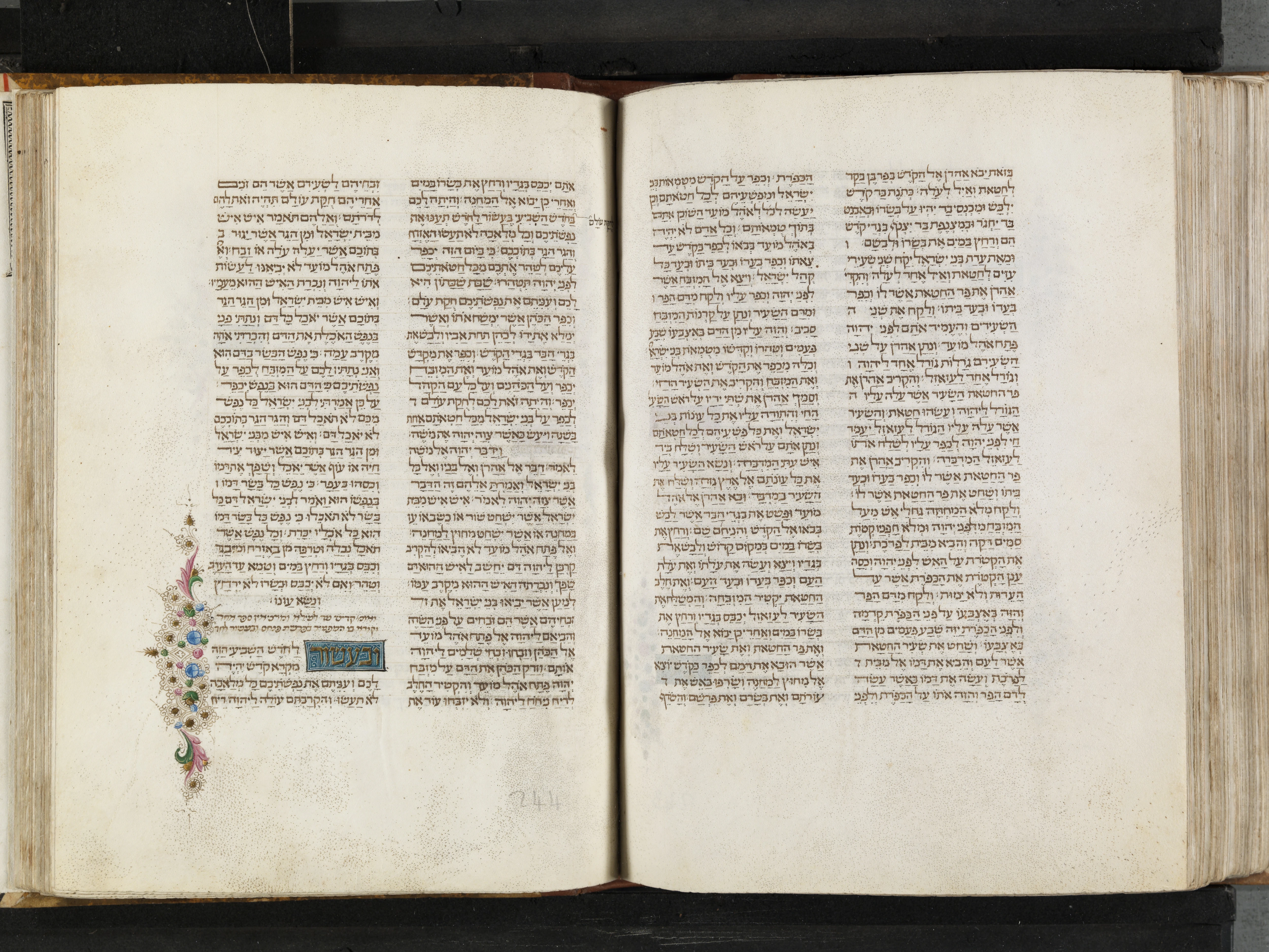 Image of item, e.g. a manuscript page