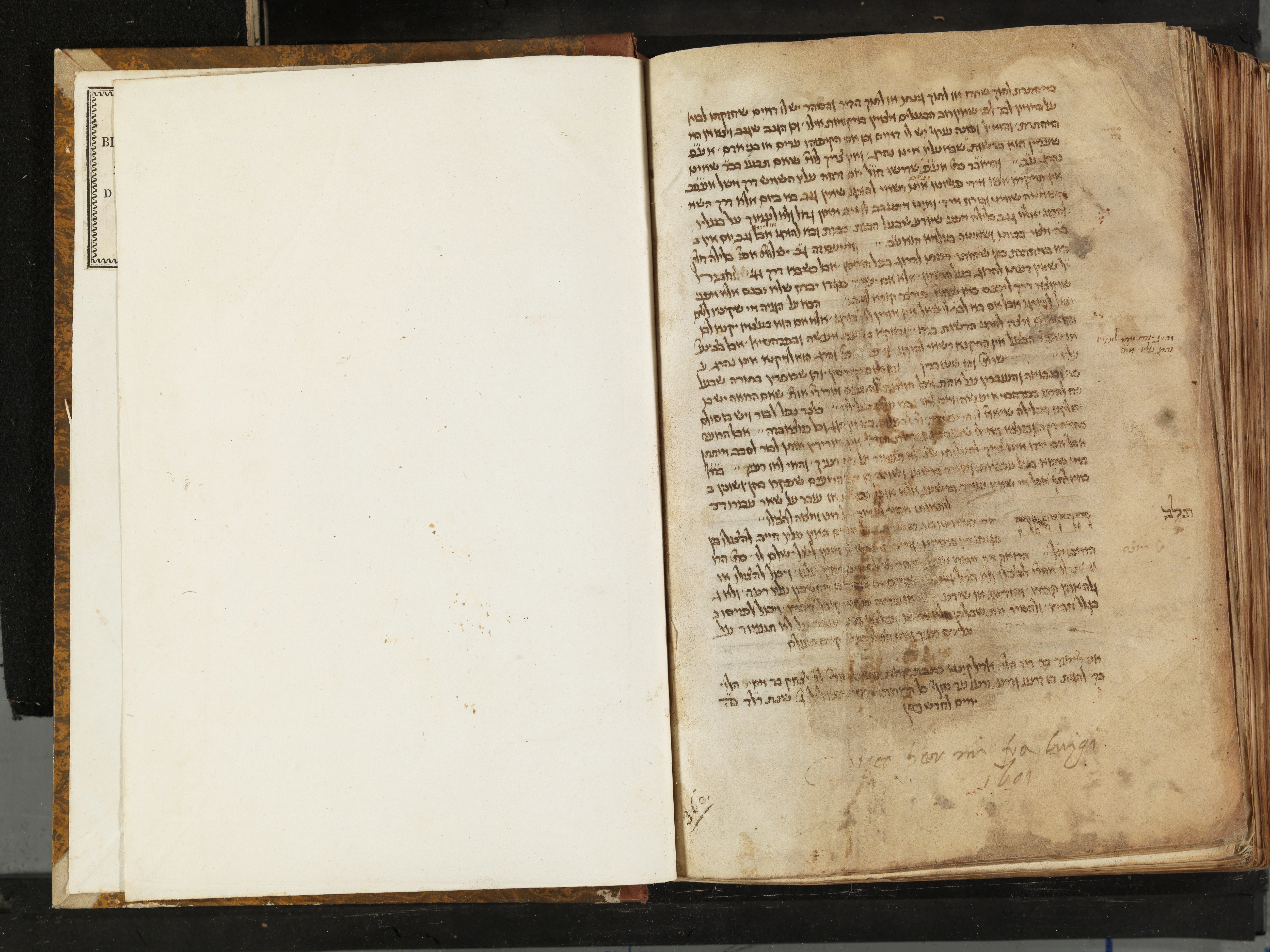 Image of item, e.g. a manuscript page