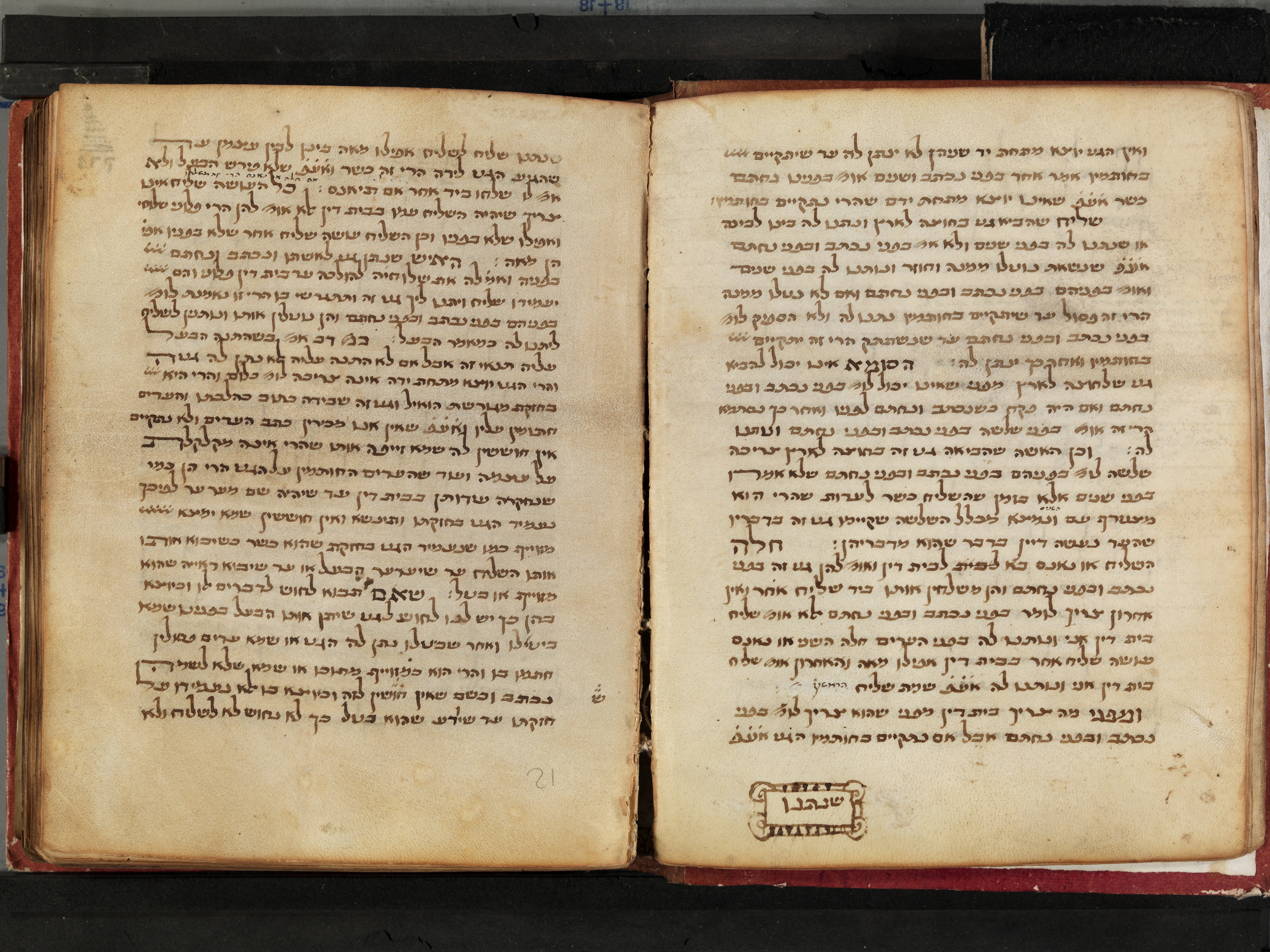 Image of item, e.g. a manuscript page