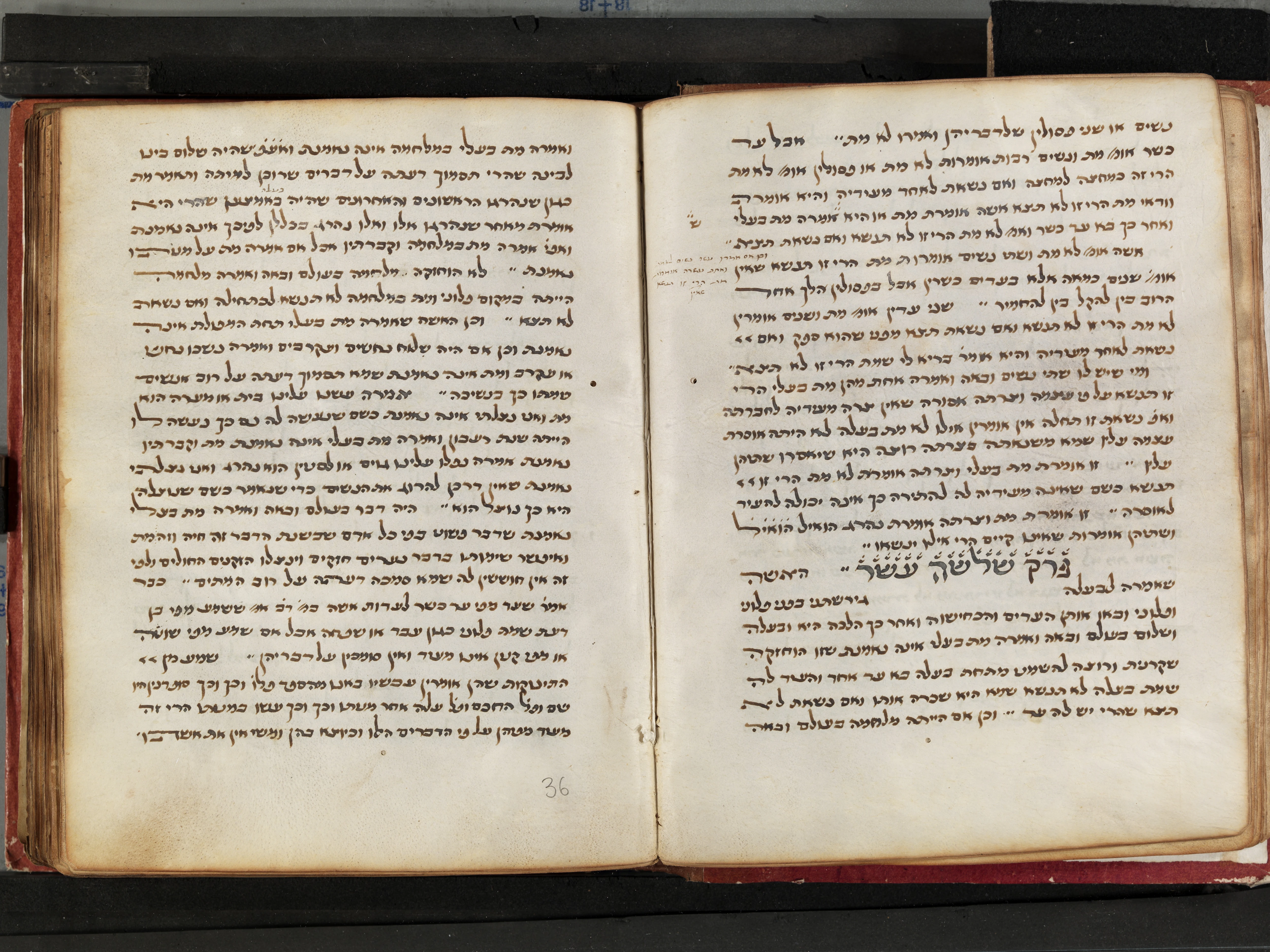 Image of item, e.g. a manuscript page