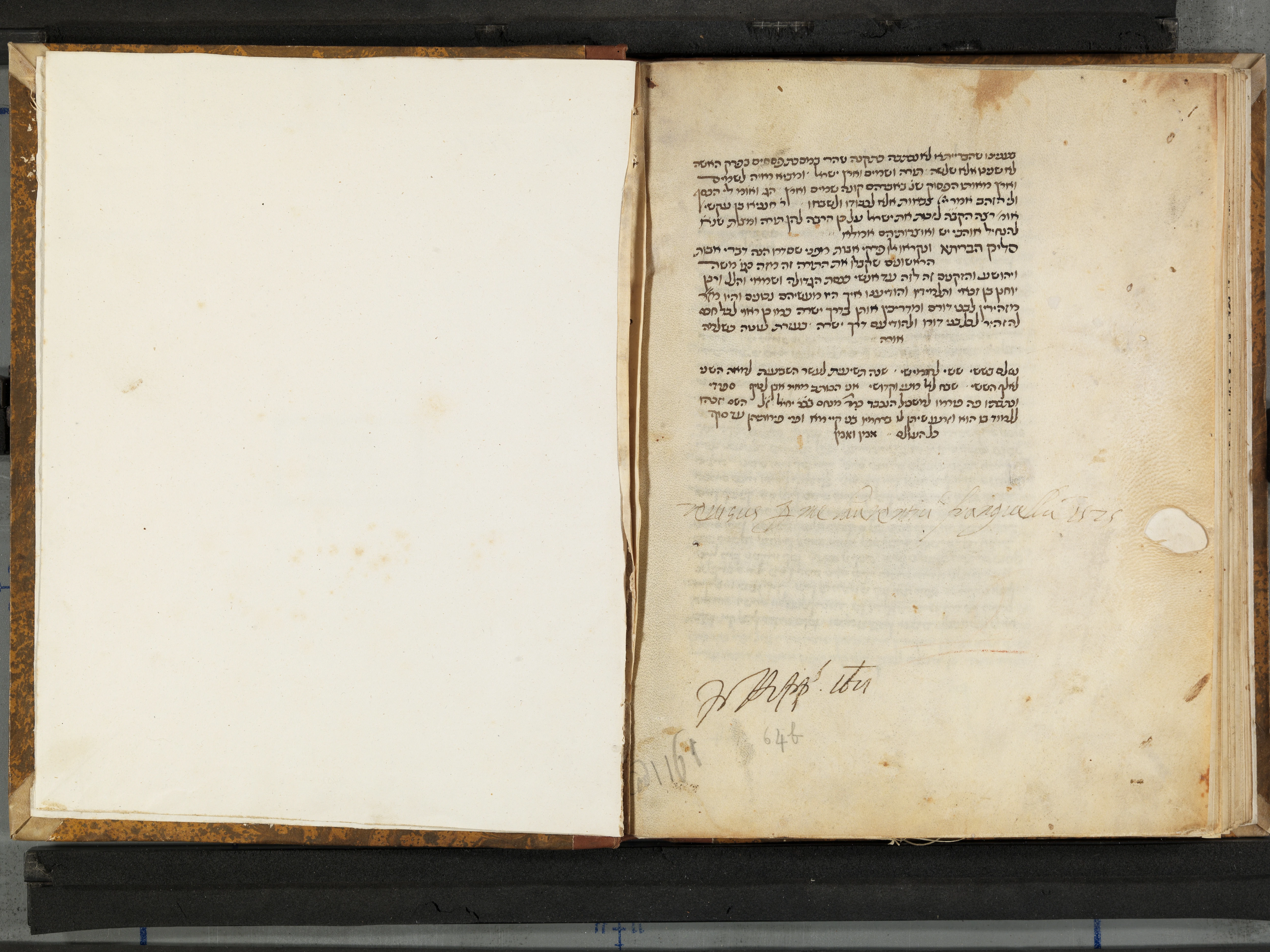 Image of item, e.g. a manuscript page