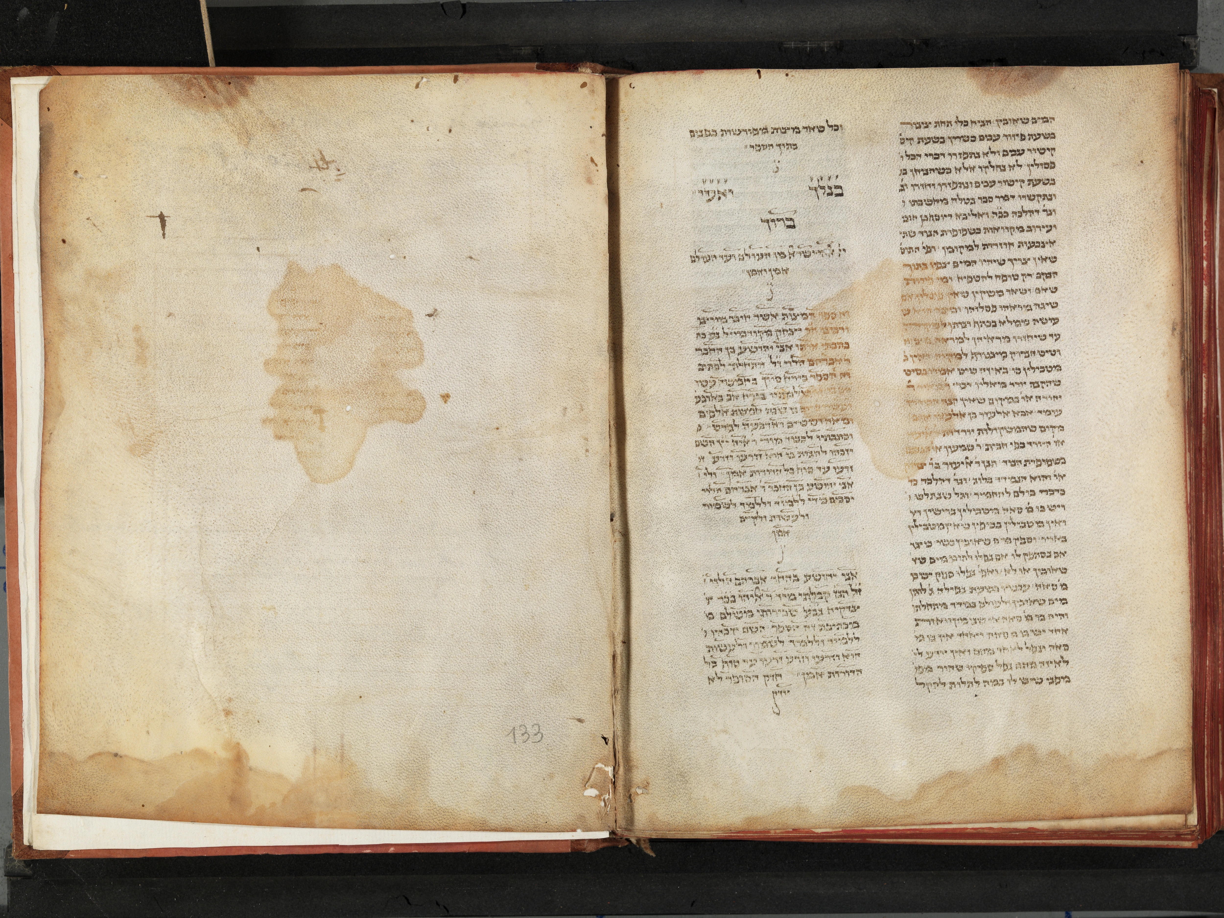 Image of item, e.g. a manuscript page