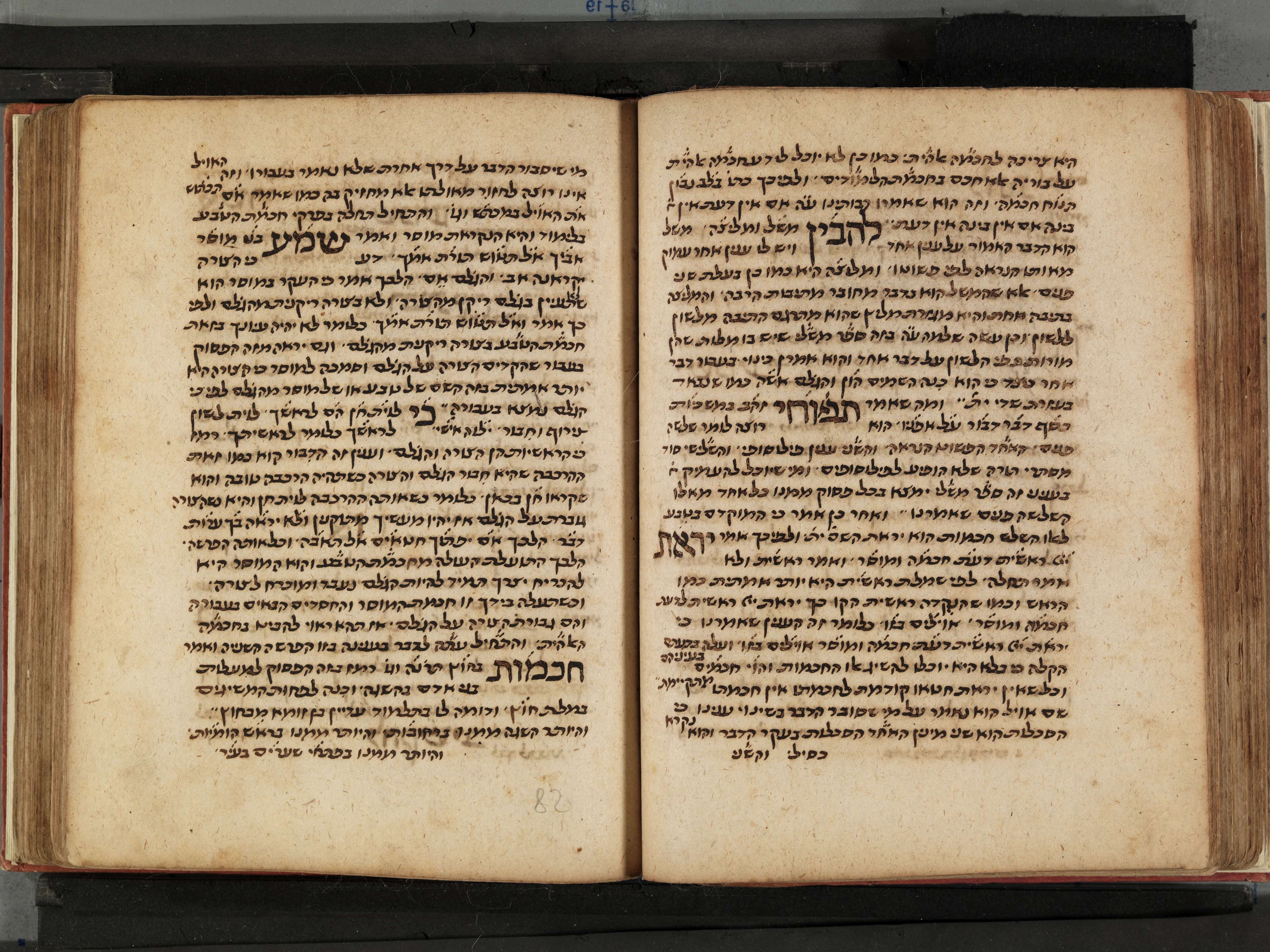 Image of item, e.g. a manuscript page