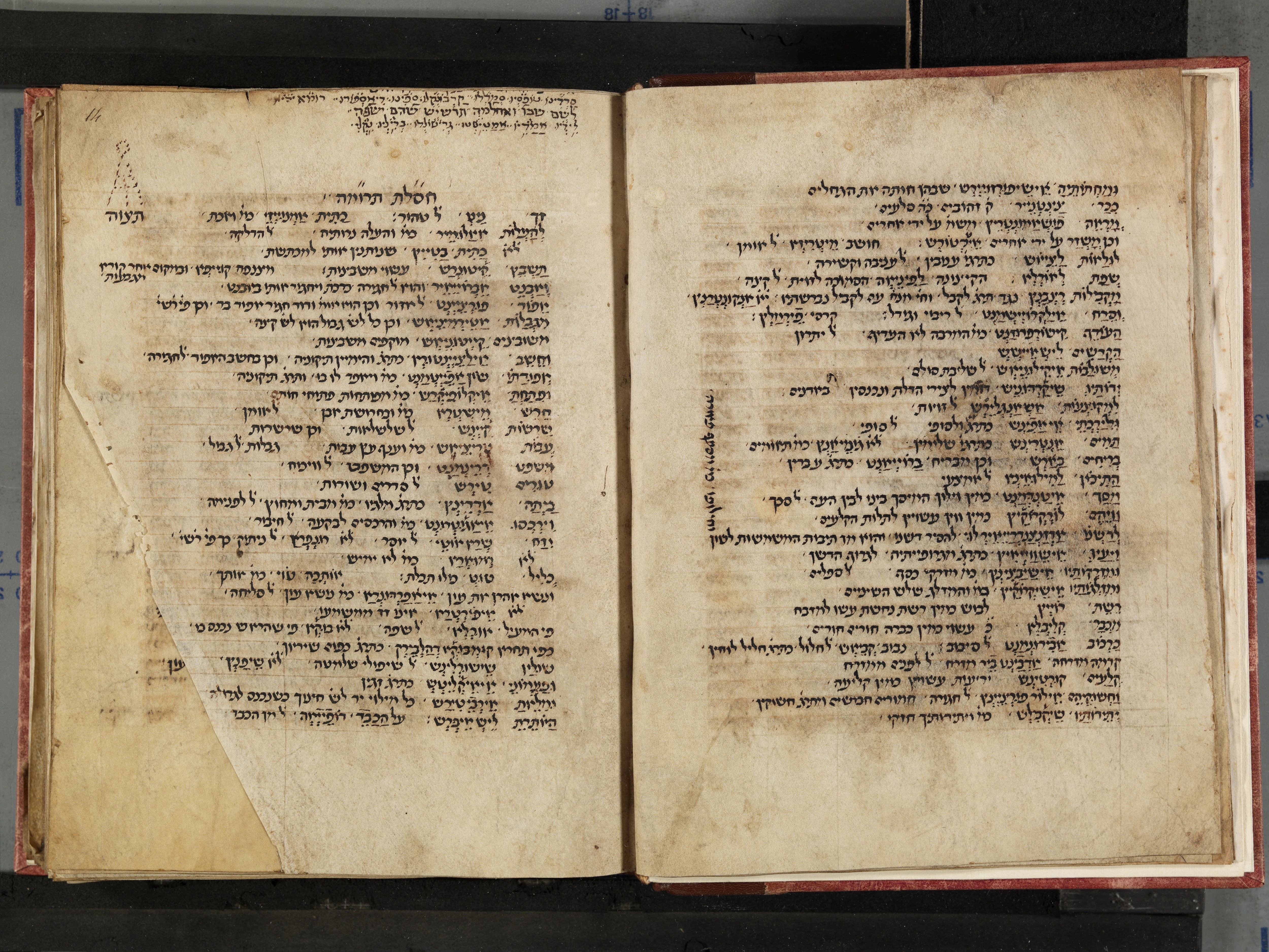 Image of item, e.g. a manuscript page
