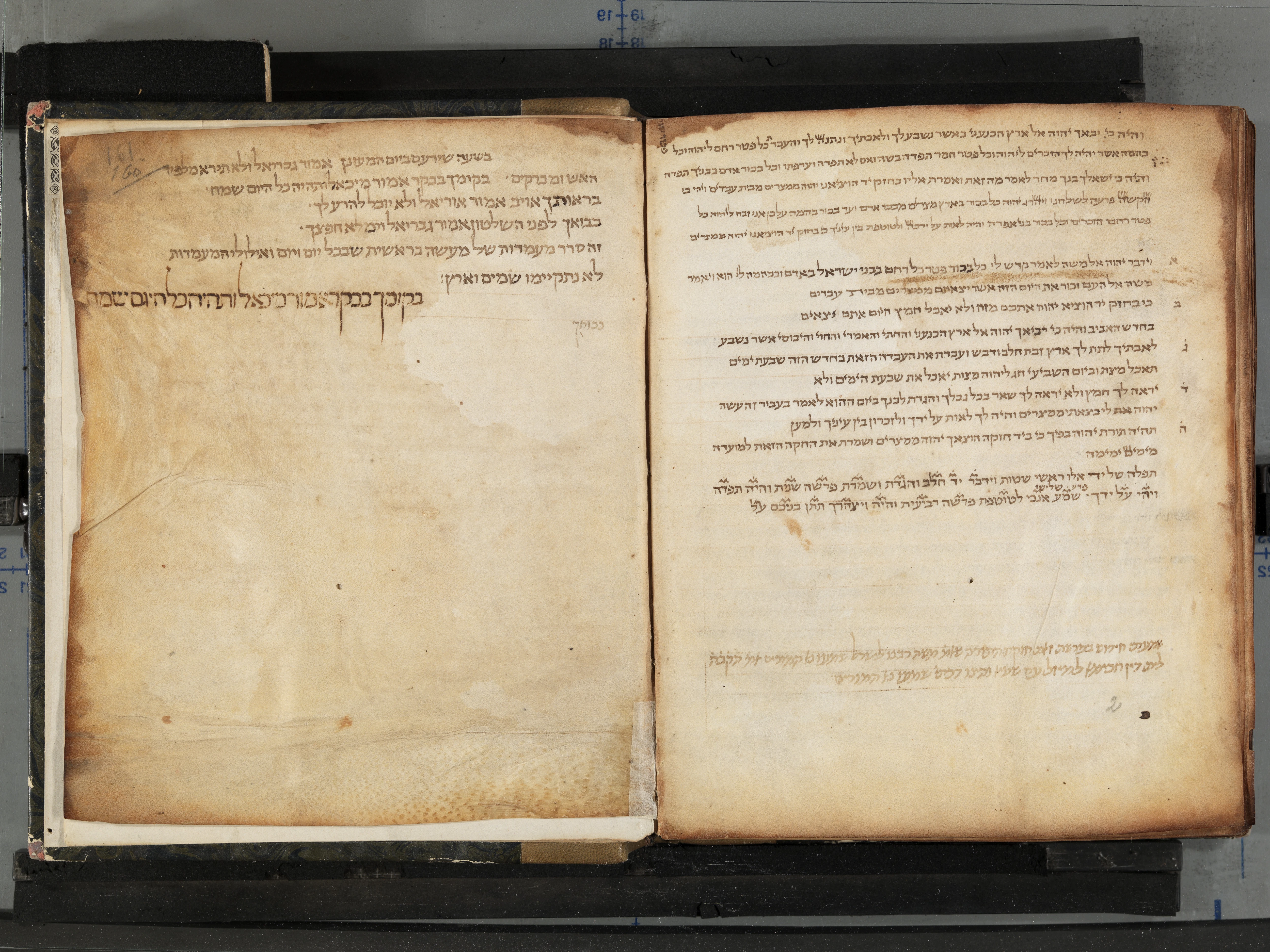 Image of item, e.g. a manuscript page