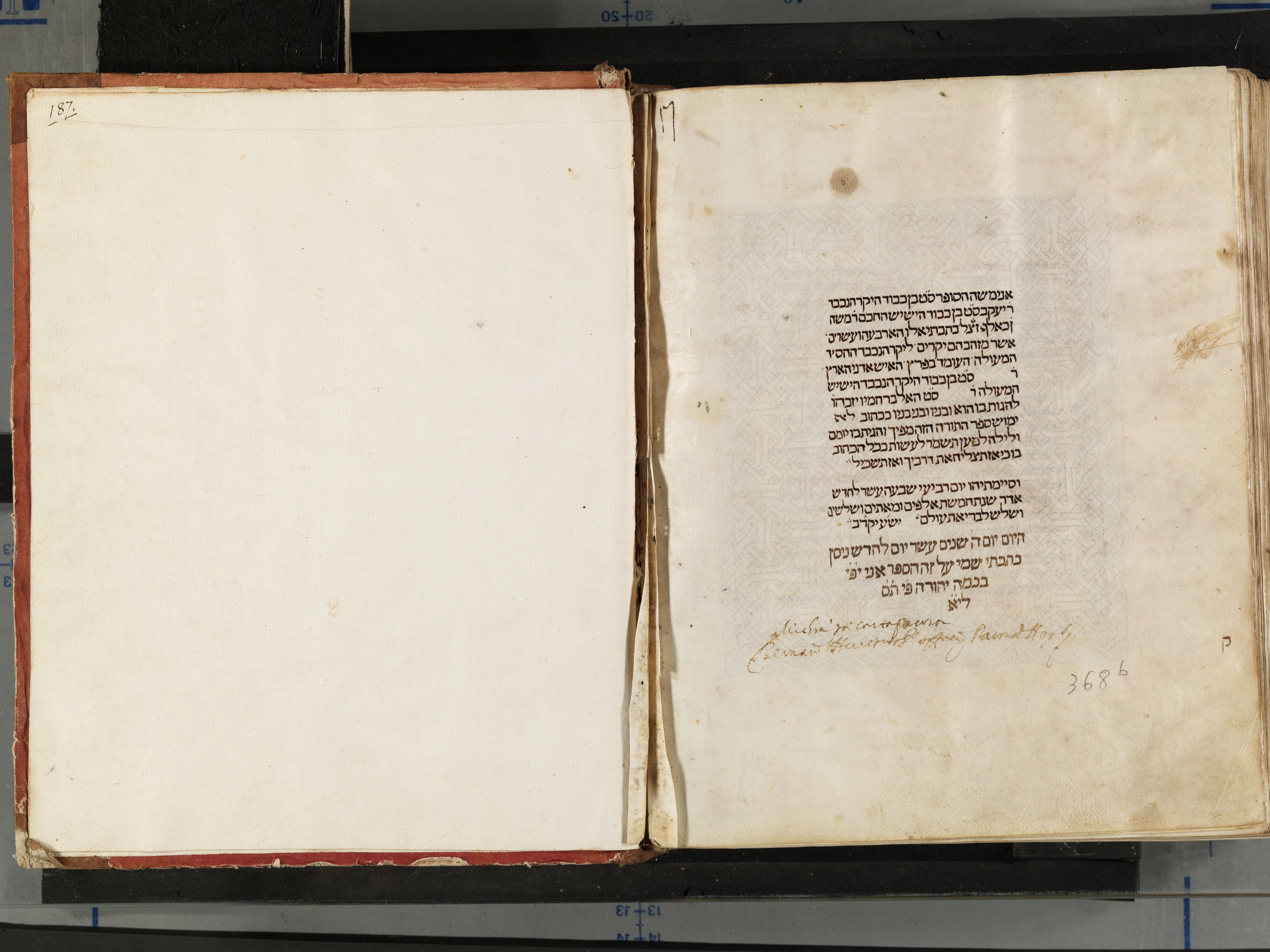 Image of item, e.g. a manuscript page