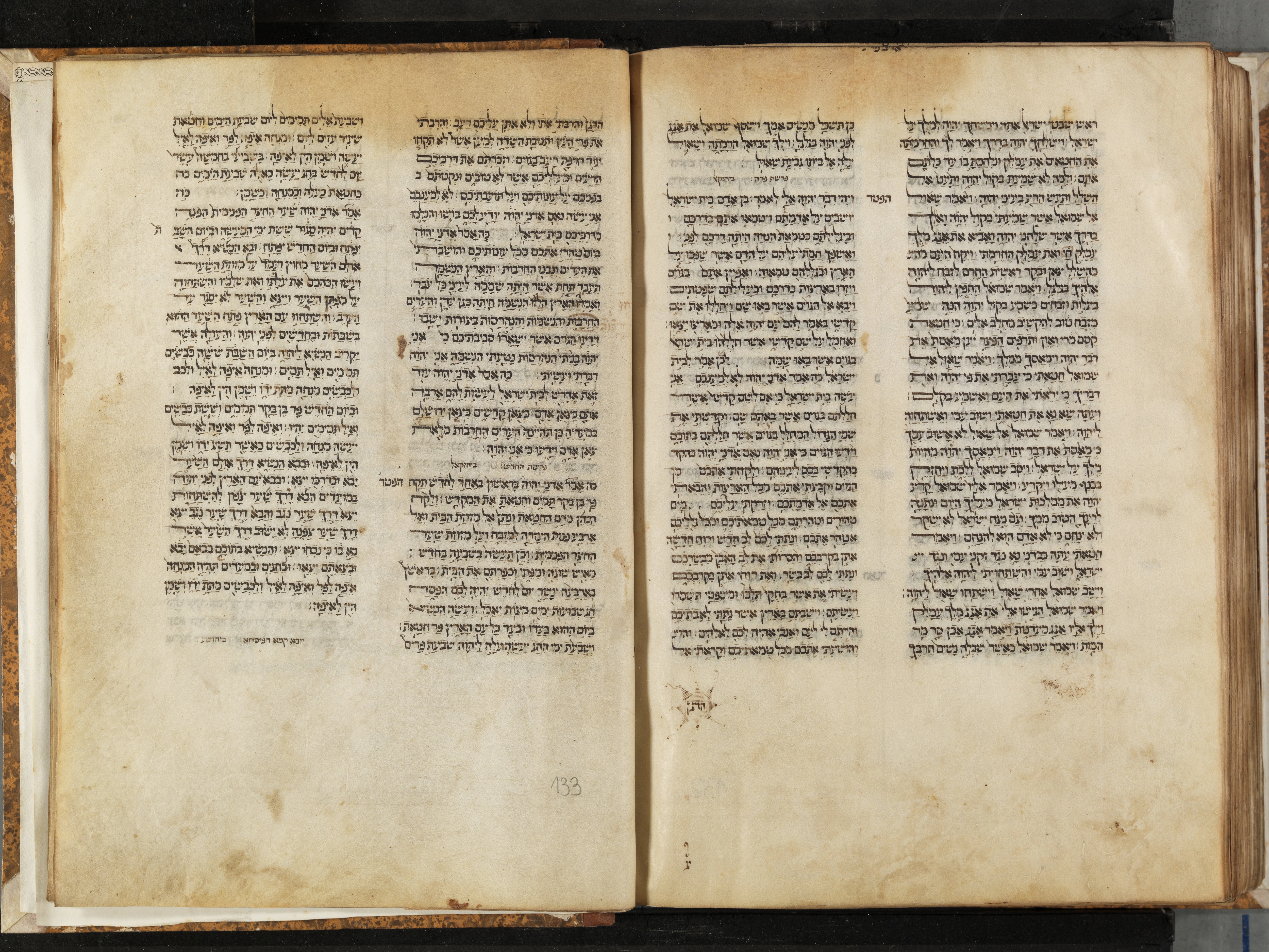 Image of item, e.g. a manuscript page
