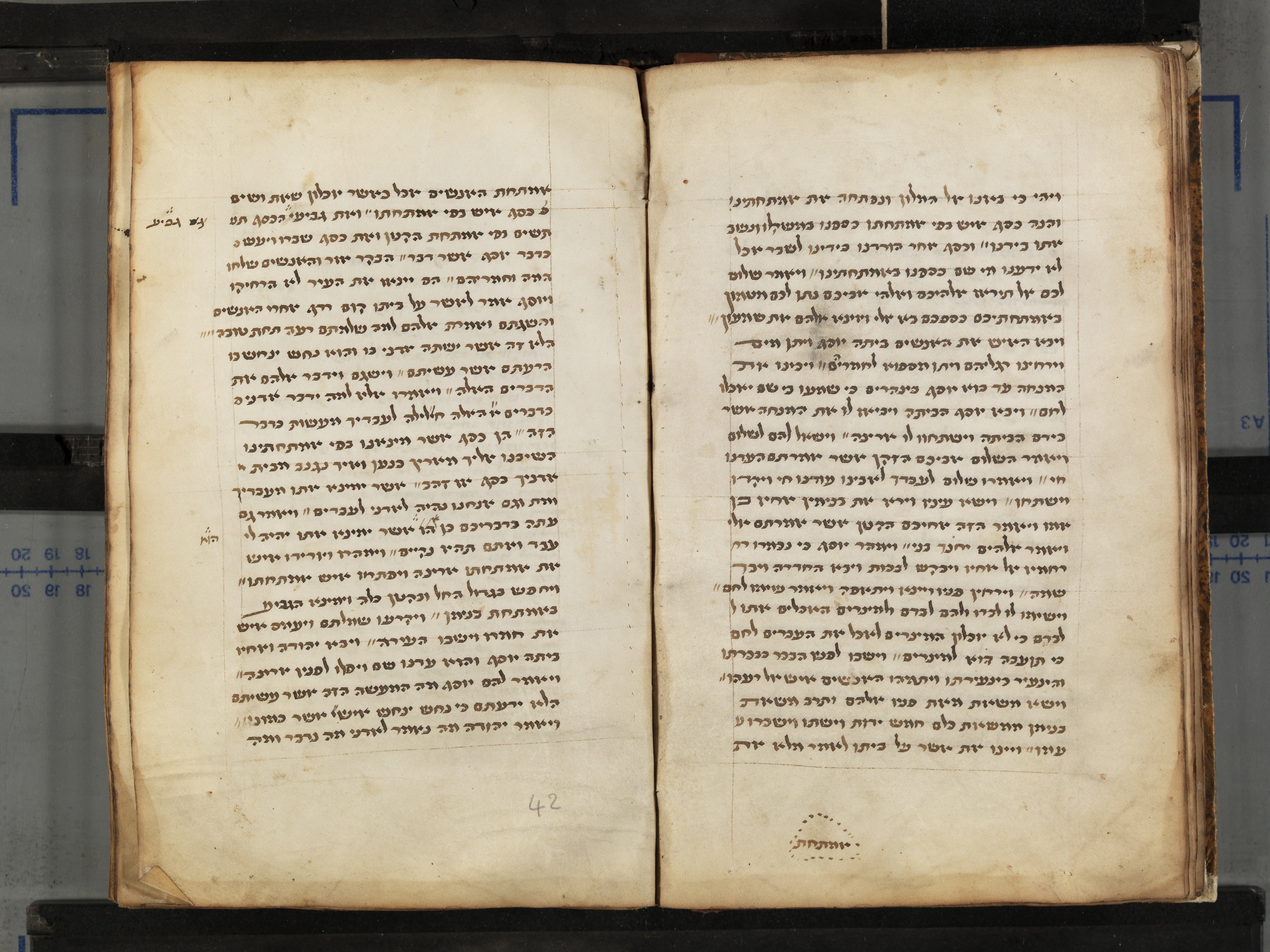 Image of item, e.g. a manuscript page