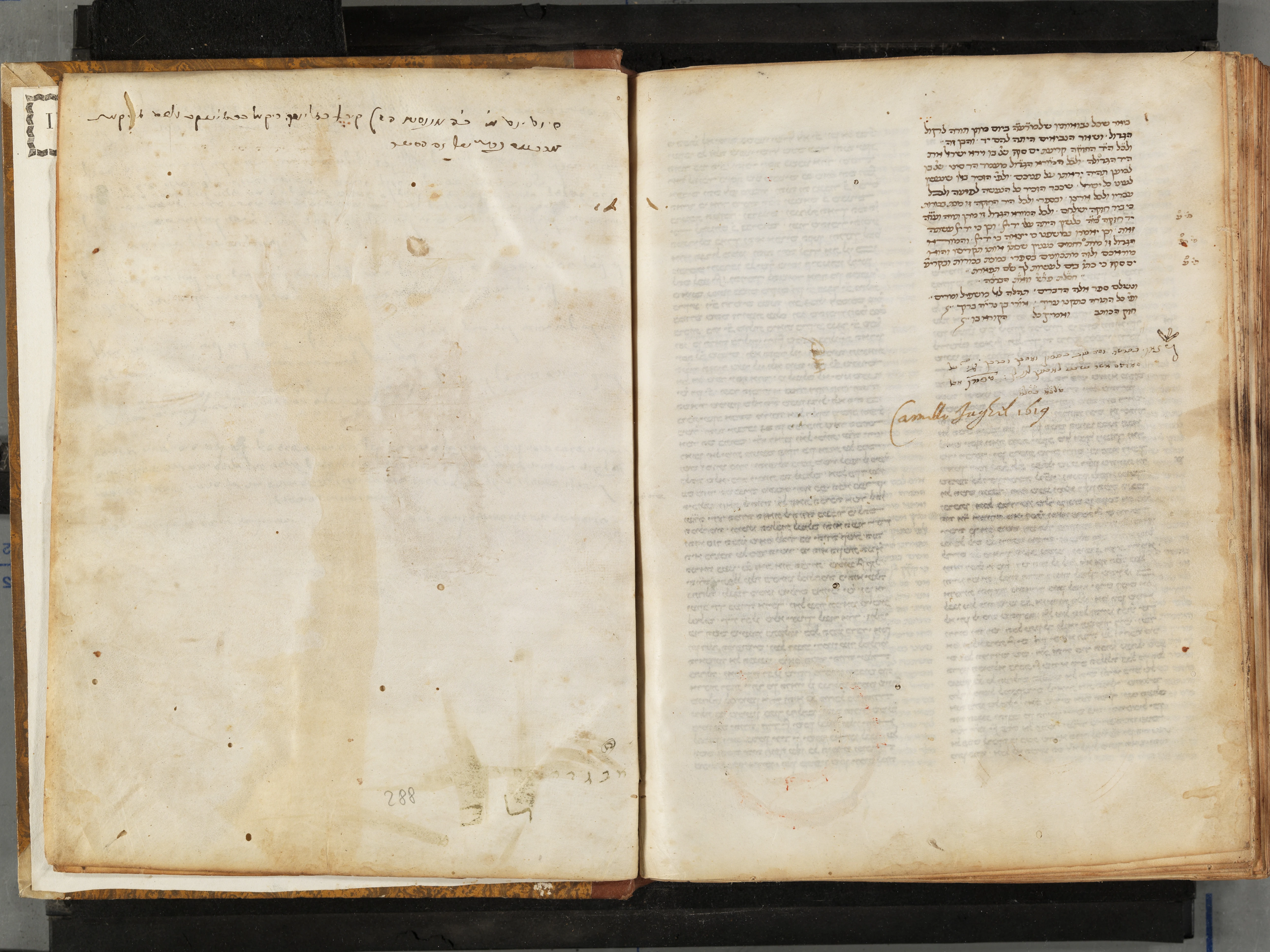 Image of item, e.g. a manuscript page