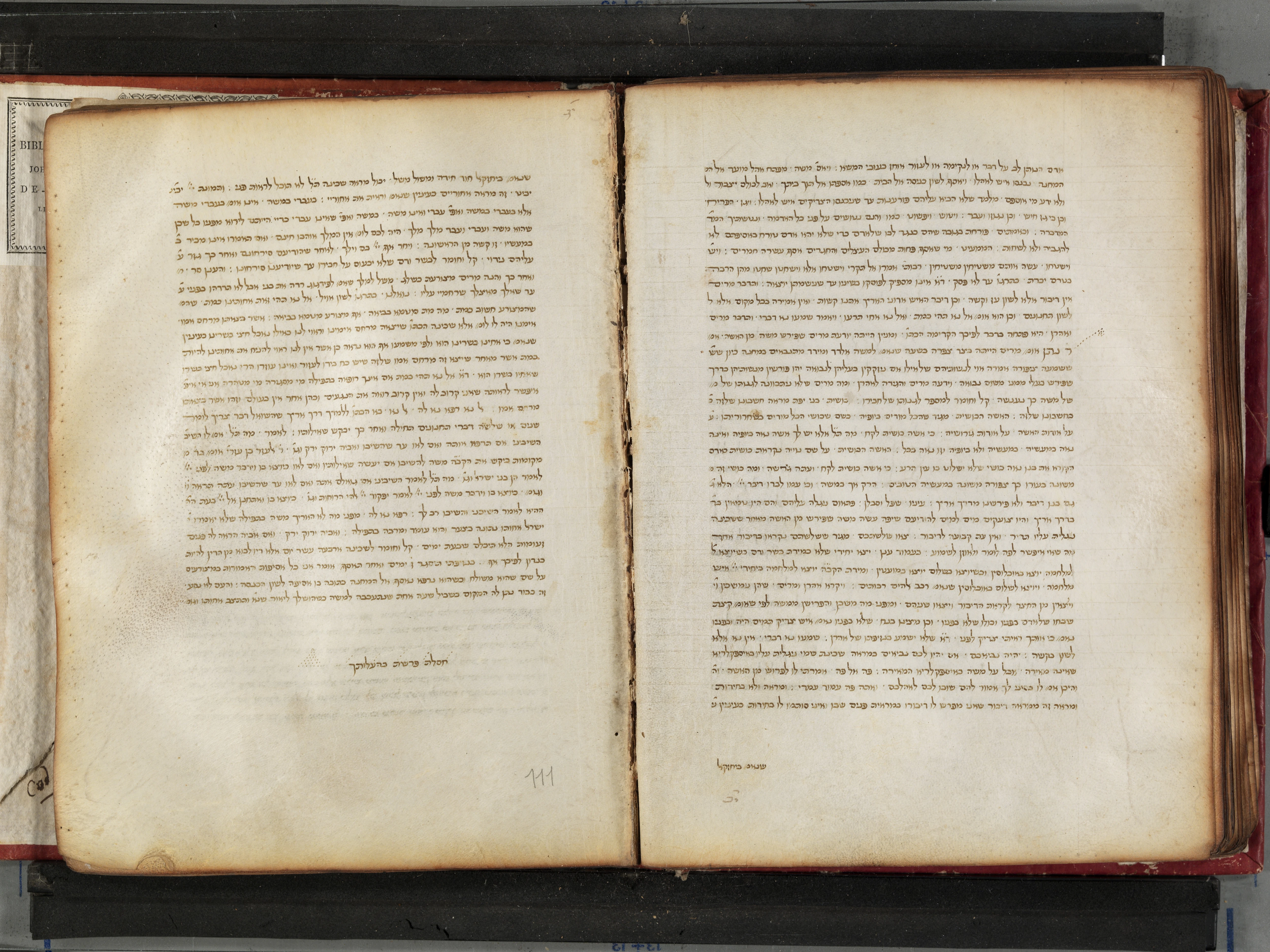 Image of item, e.g. a manuscript page