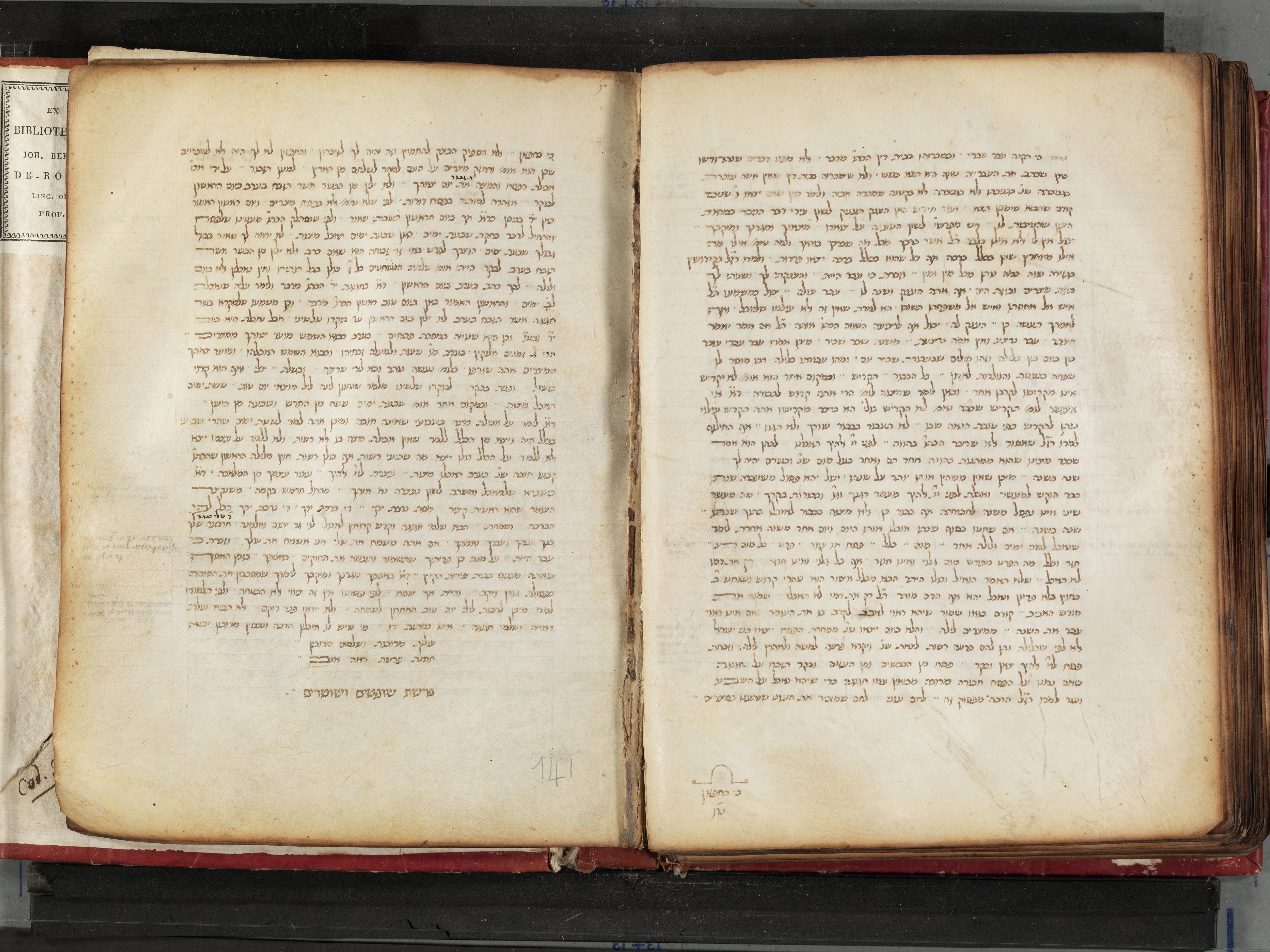 Image of item, e.g. a manuscript page