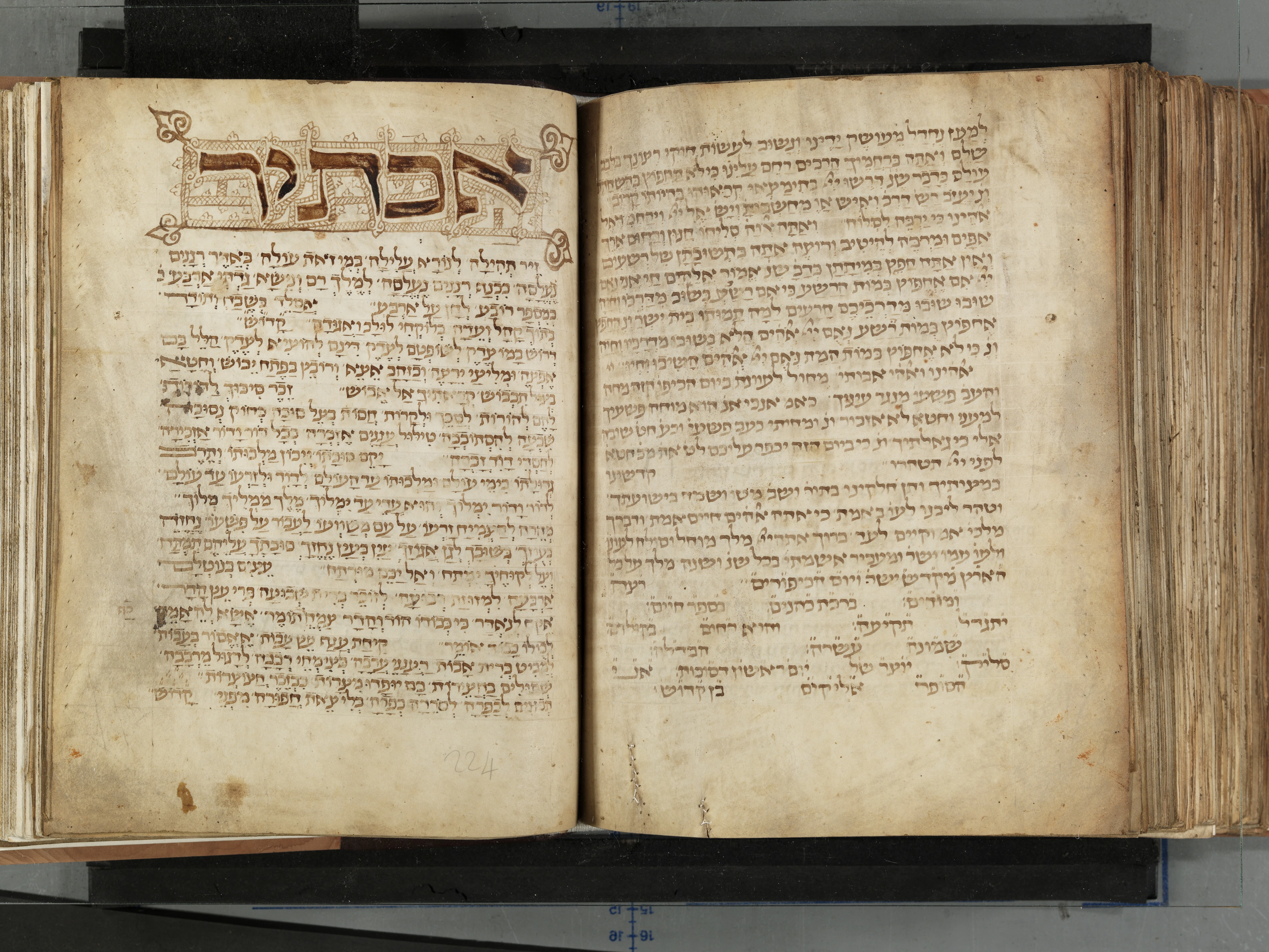 Image of item, e.g. a manuscript page