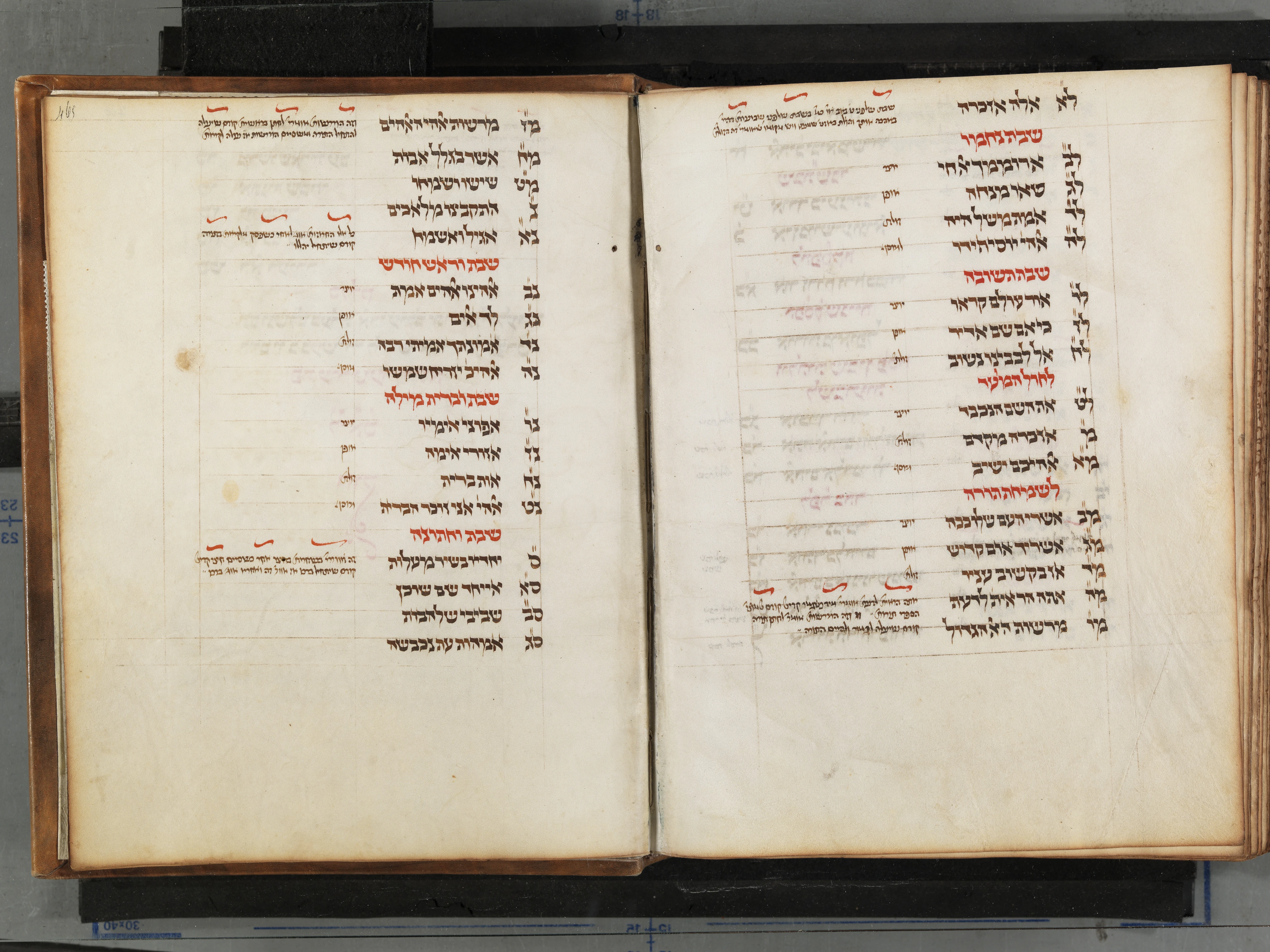 Image of item, e.g. a manuscript page